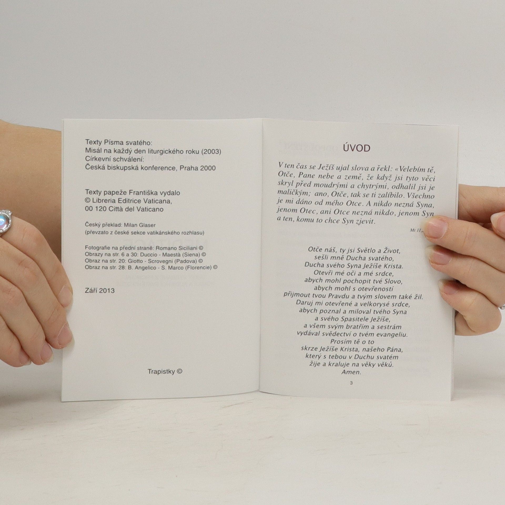 Autorenkollektiv Meditace. Texty vybrané z promluv, homilií a audiencí Svatého Otce Františka