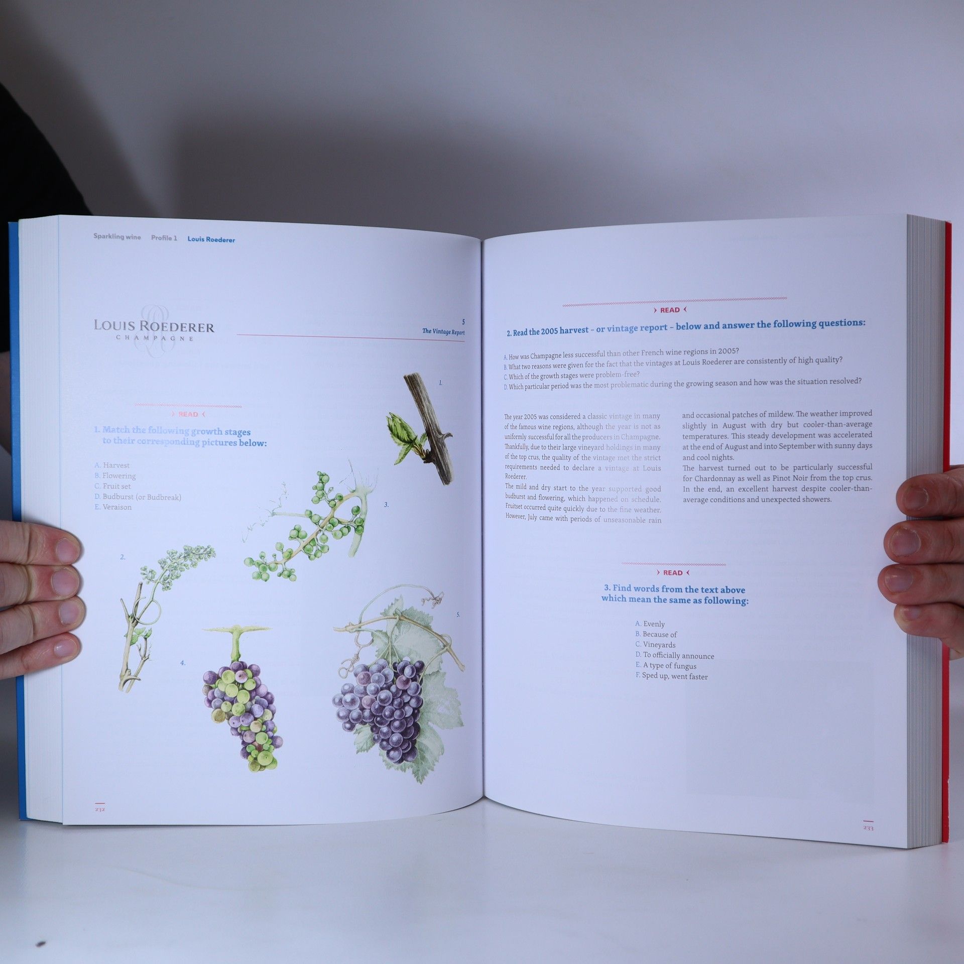 Mike Mazey WineWords: English for Wine Professionals & Wine Lovers