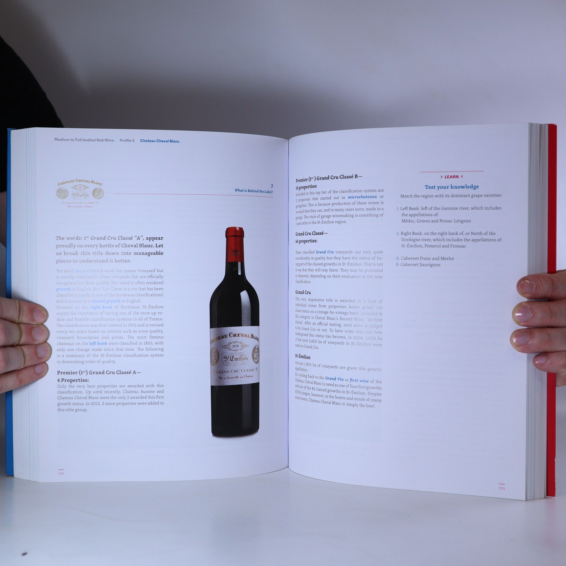 Mike Mazey WineWords: English for Wine Professionals & Wine Lovers
