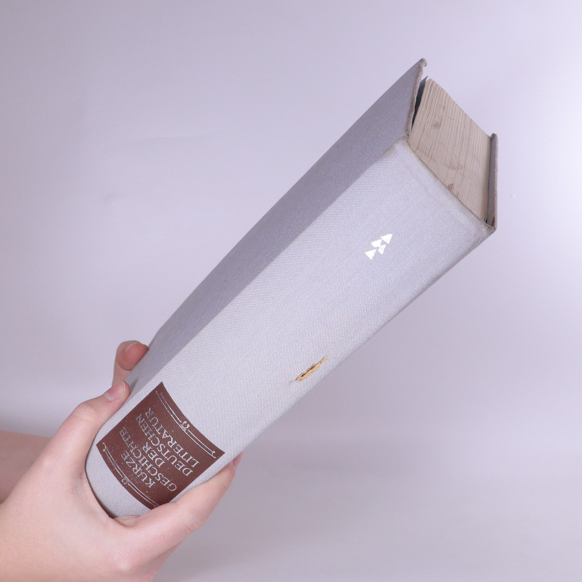 Autorenkollektiv Kurze Geschichte der deutschen Literatur