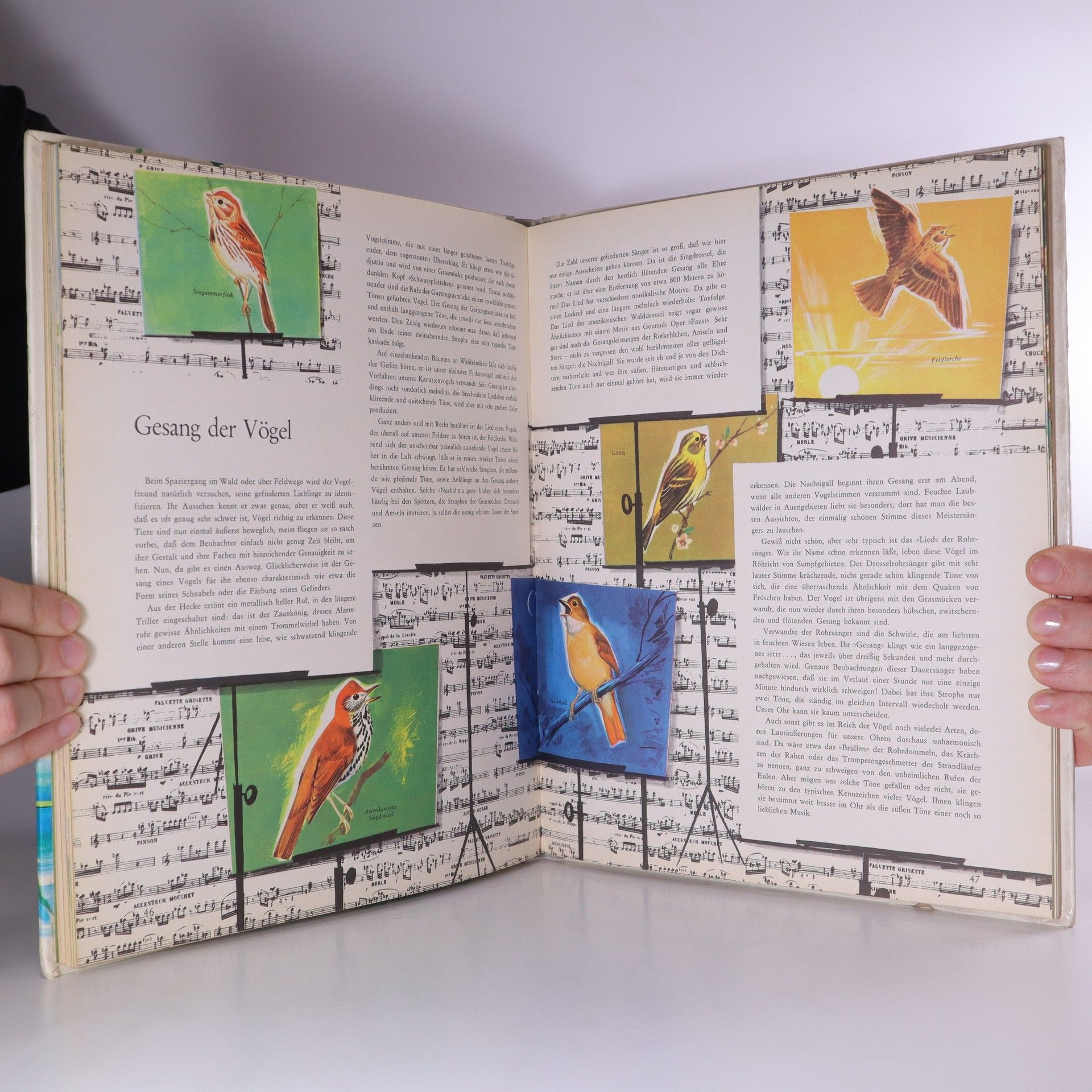 Autorenkollektiv Das bunte Vogelreich