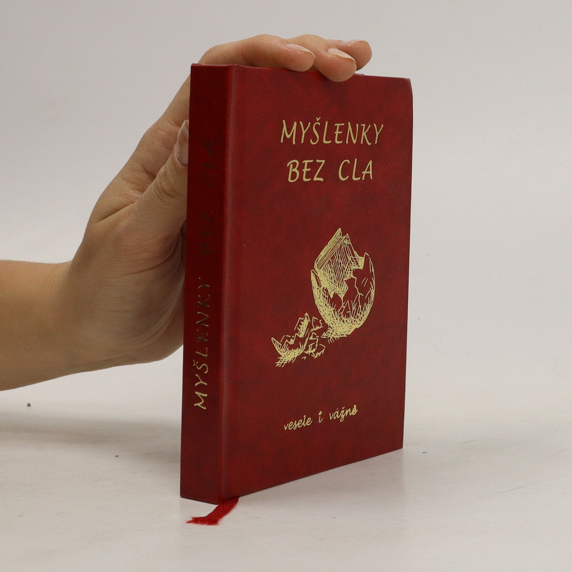 Kolektiv autorů Myšlenky bez cla