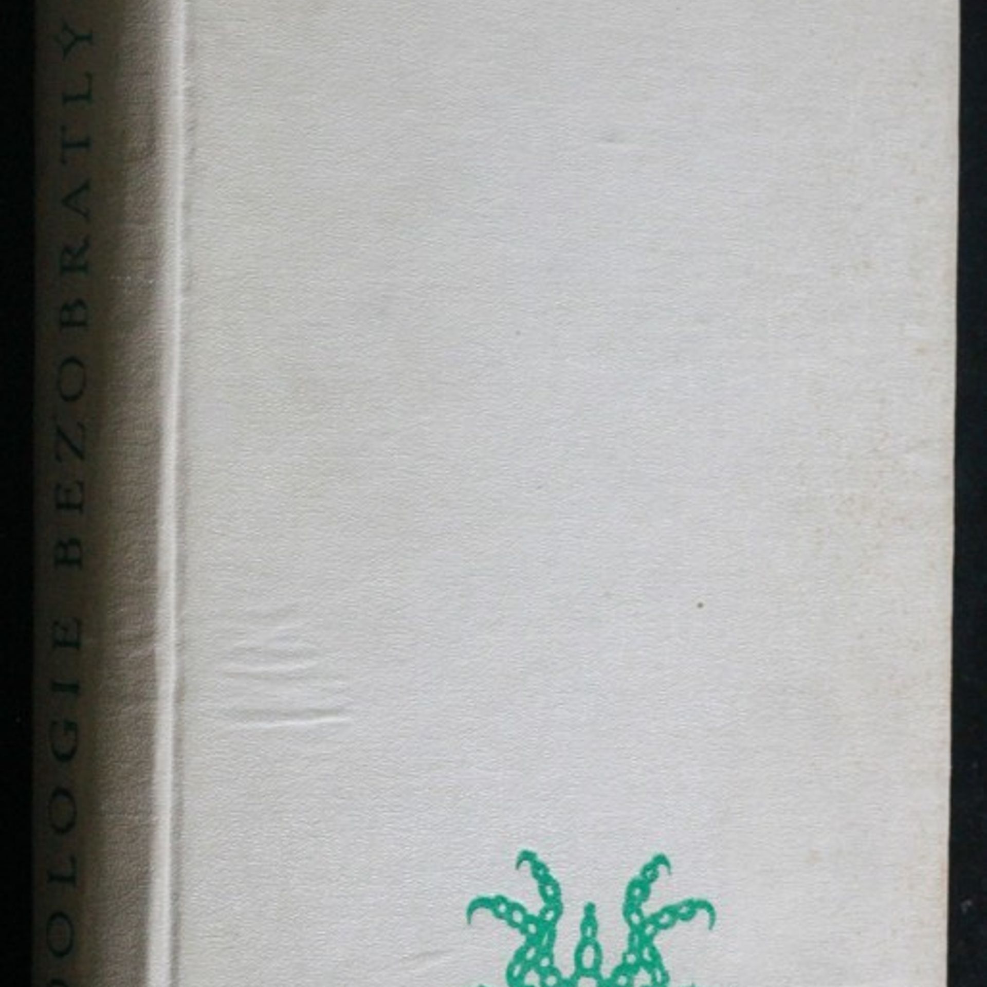 V. A. Dogel Zoologie bezobratlých