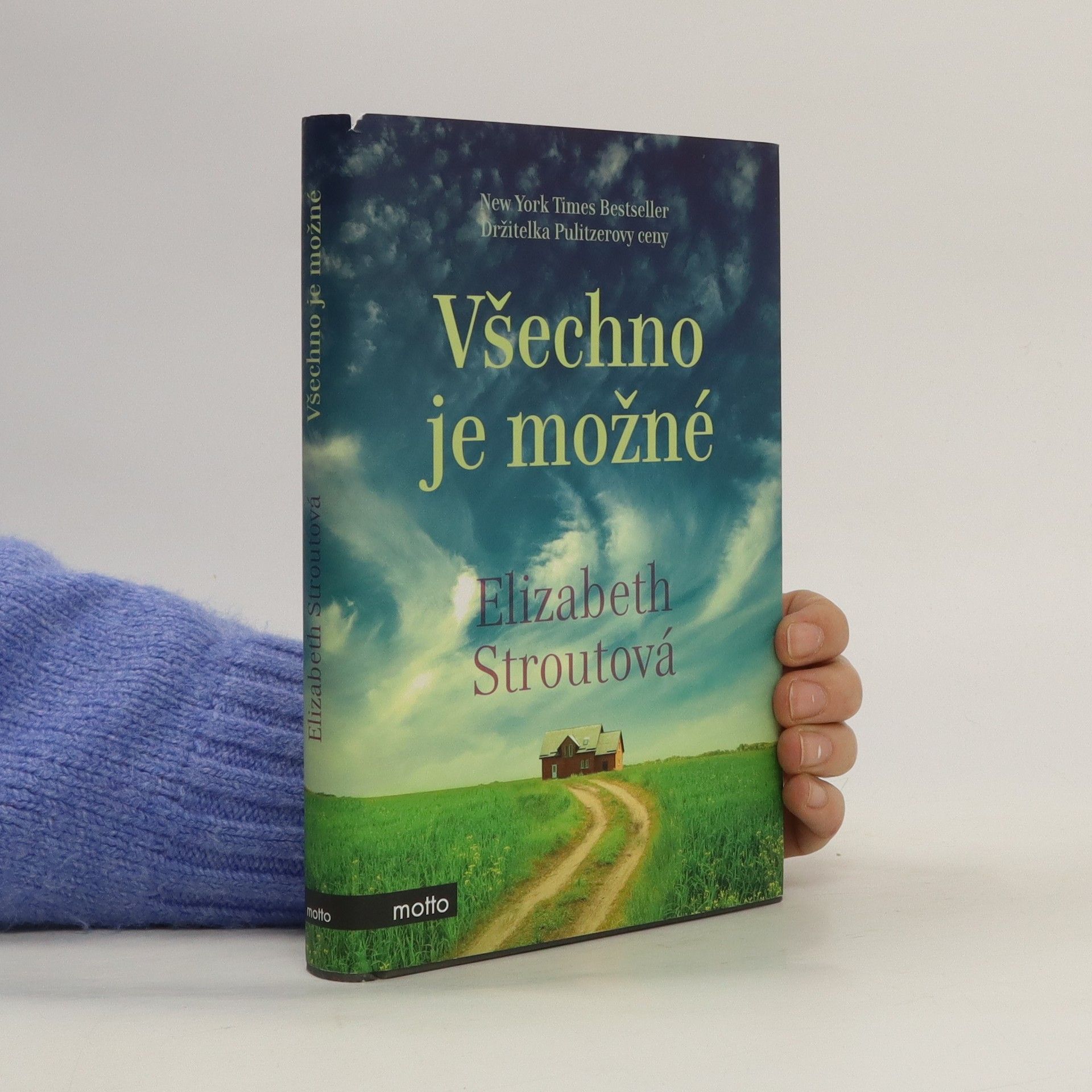 Elizabeth Strout Všechno je možné