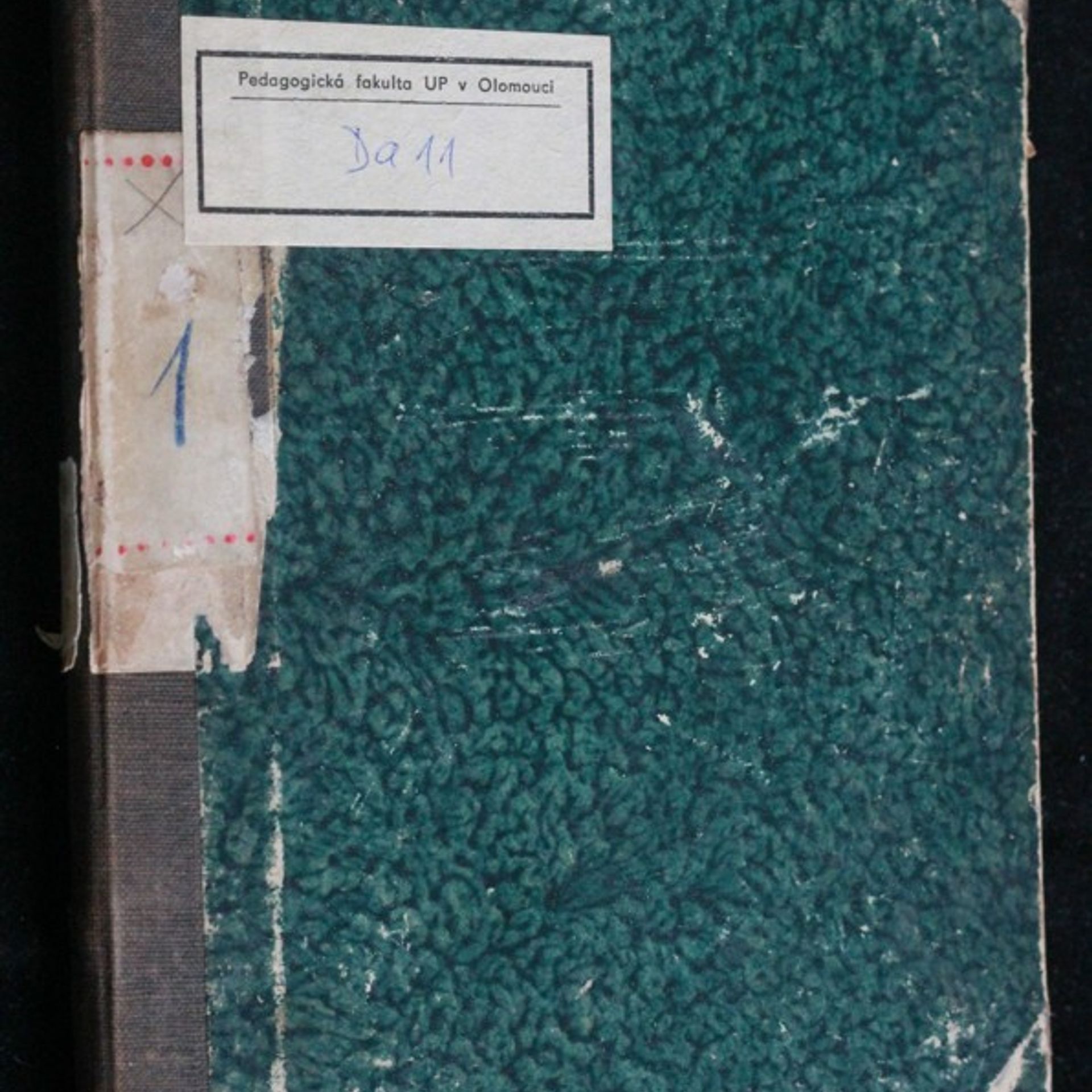 Zimní spánek zvířat