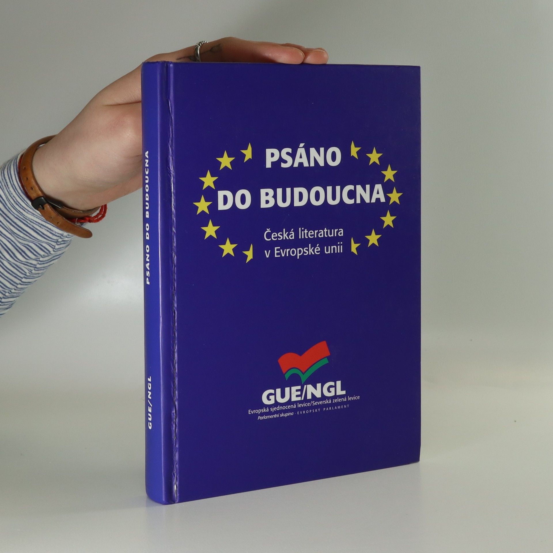 Kolektiv autorů Psáno do budoucna. Česká literatura v Evropské unii