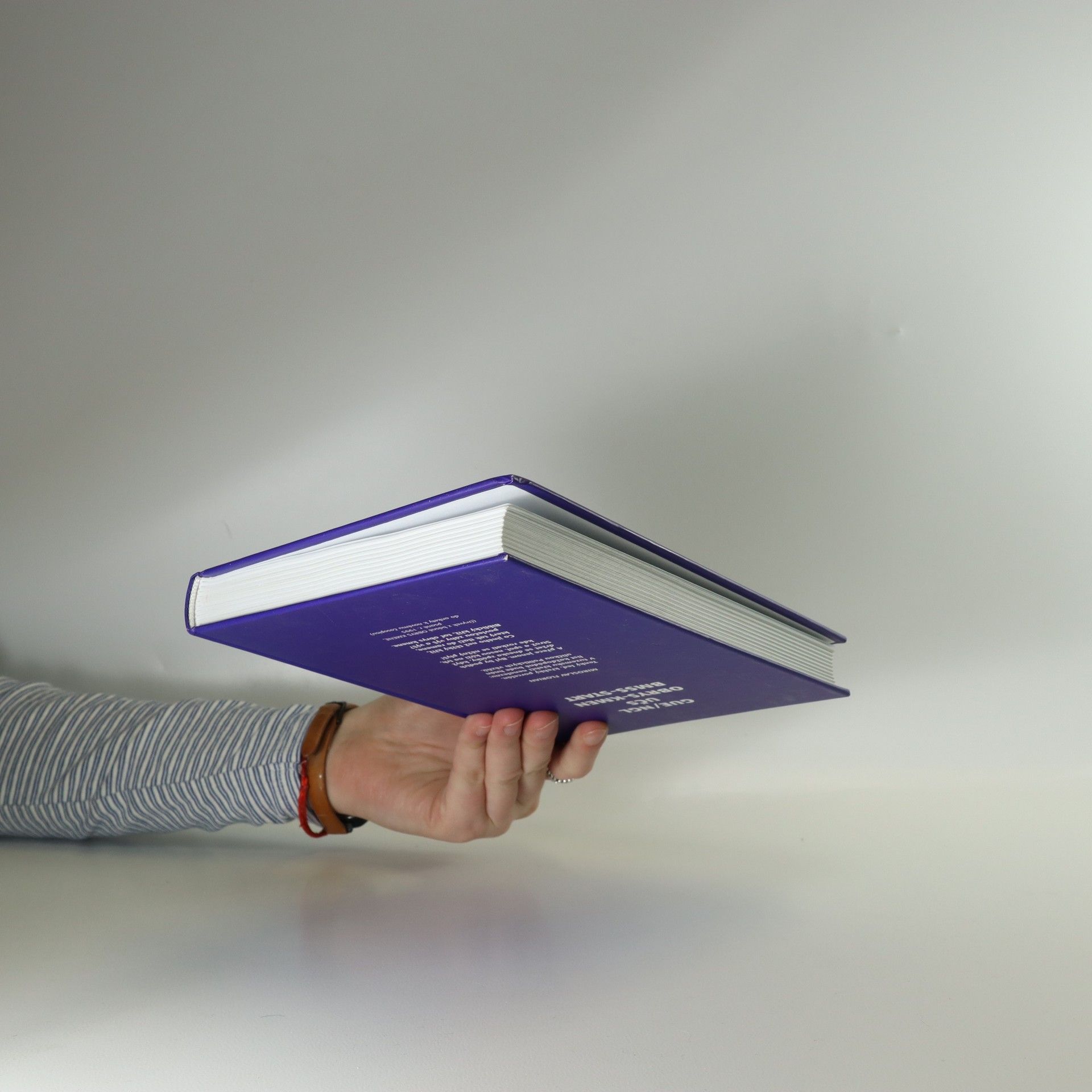 Kolektiv autorů Psáno do budoucna. Česká literatura v Evropské unii