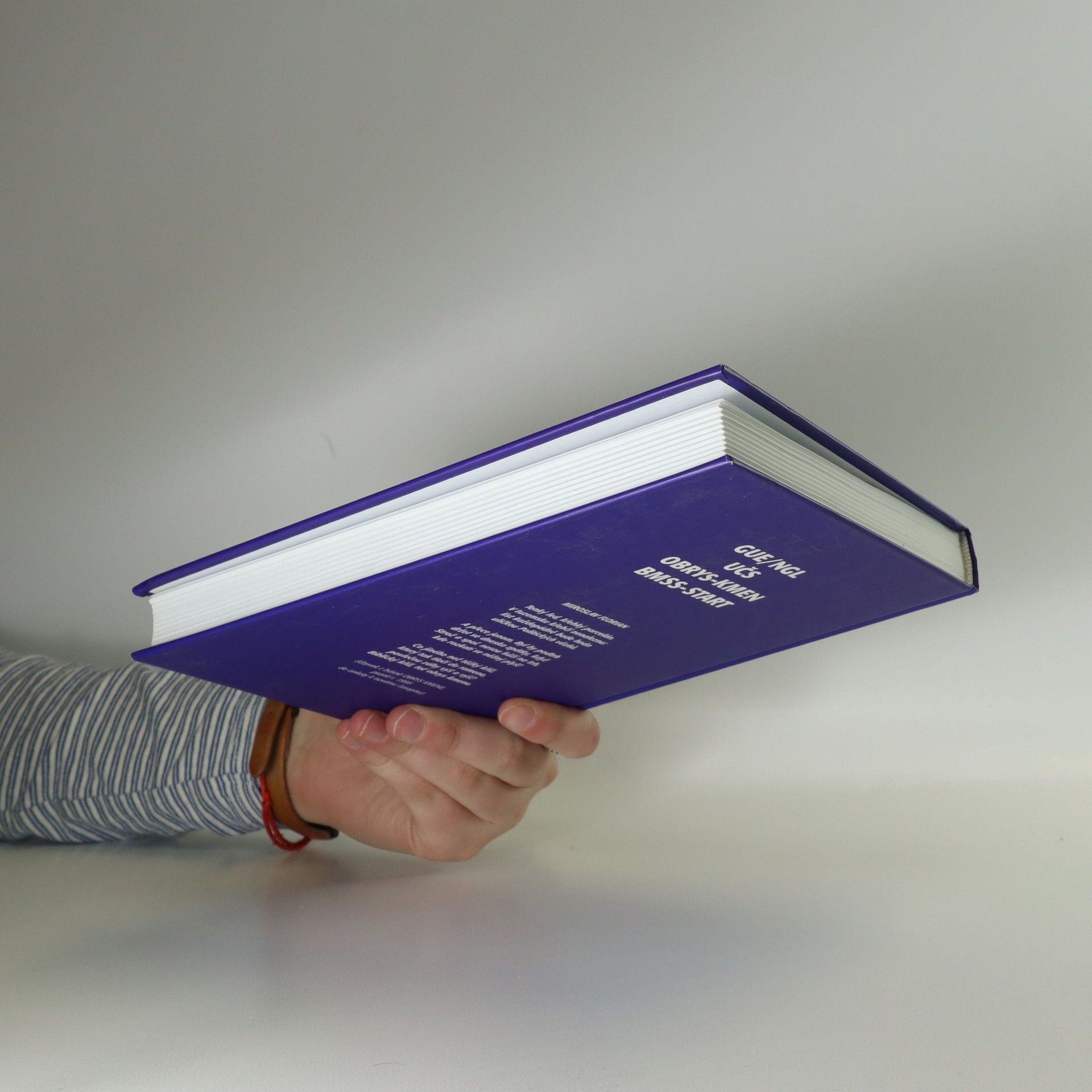 Kolektiv autorů Psáno do budoucna. Česká literatura v Evropské unii