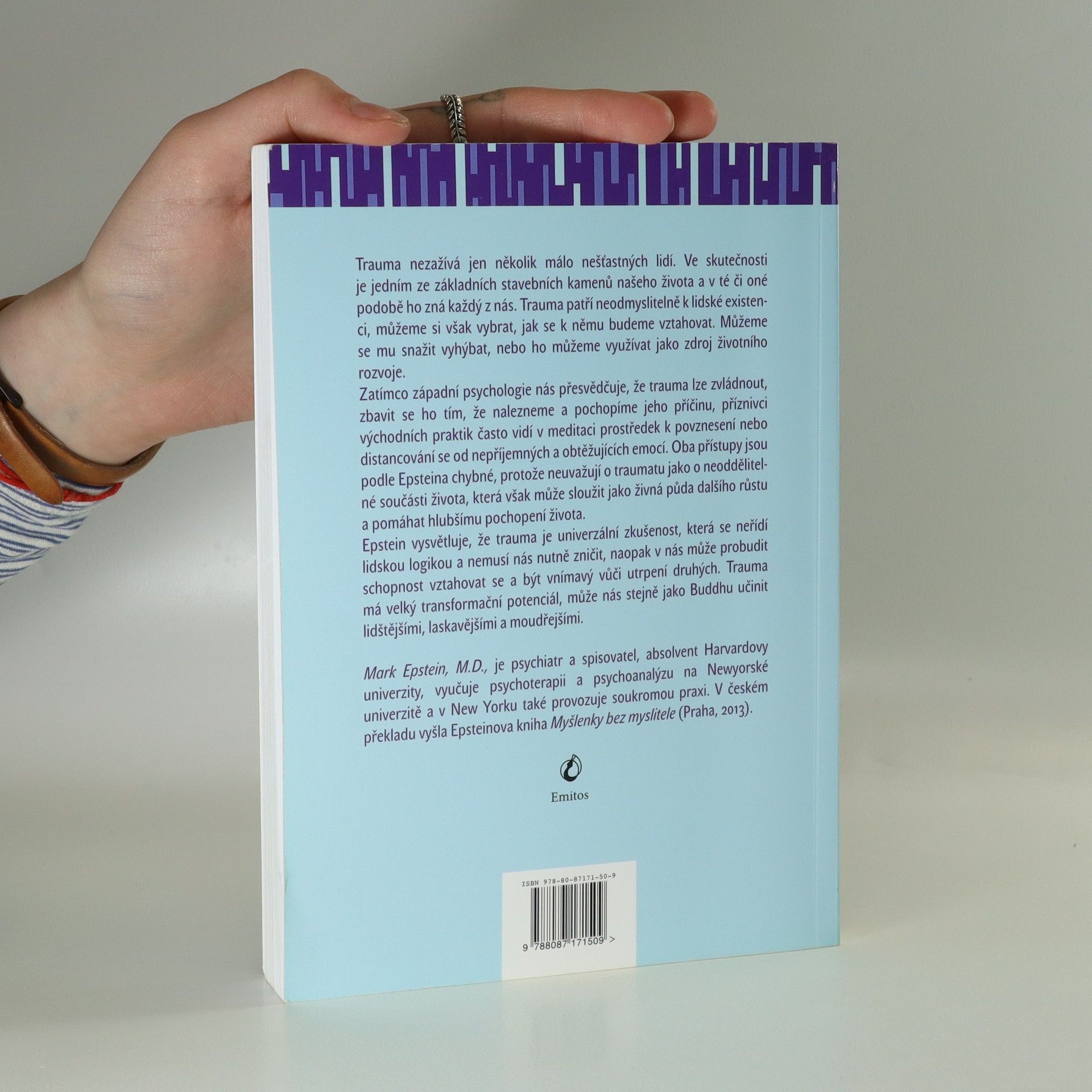 Mark Epstein Trauma každodenního života