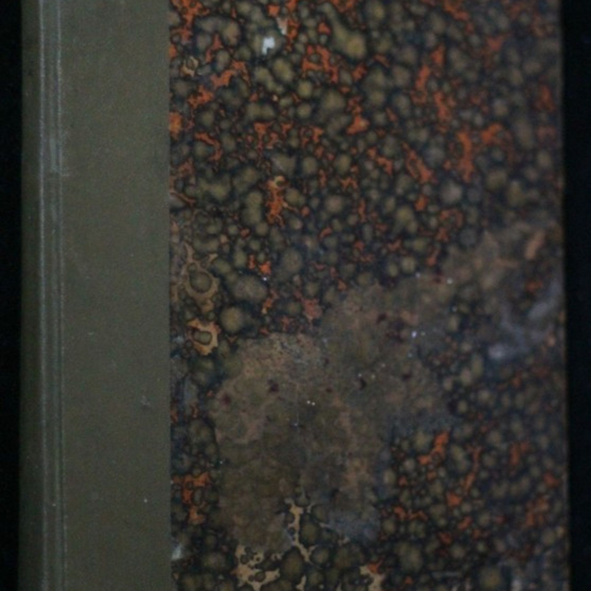 Alois Dostál Planá růže