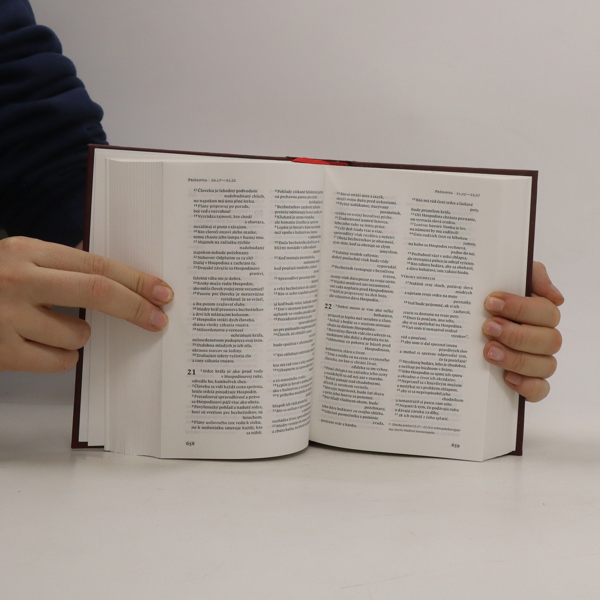 Kolektiv autorů Biblia