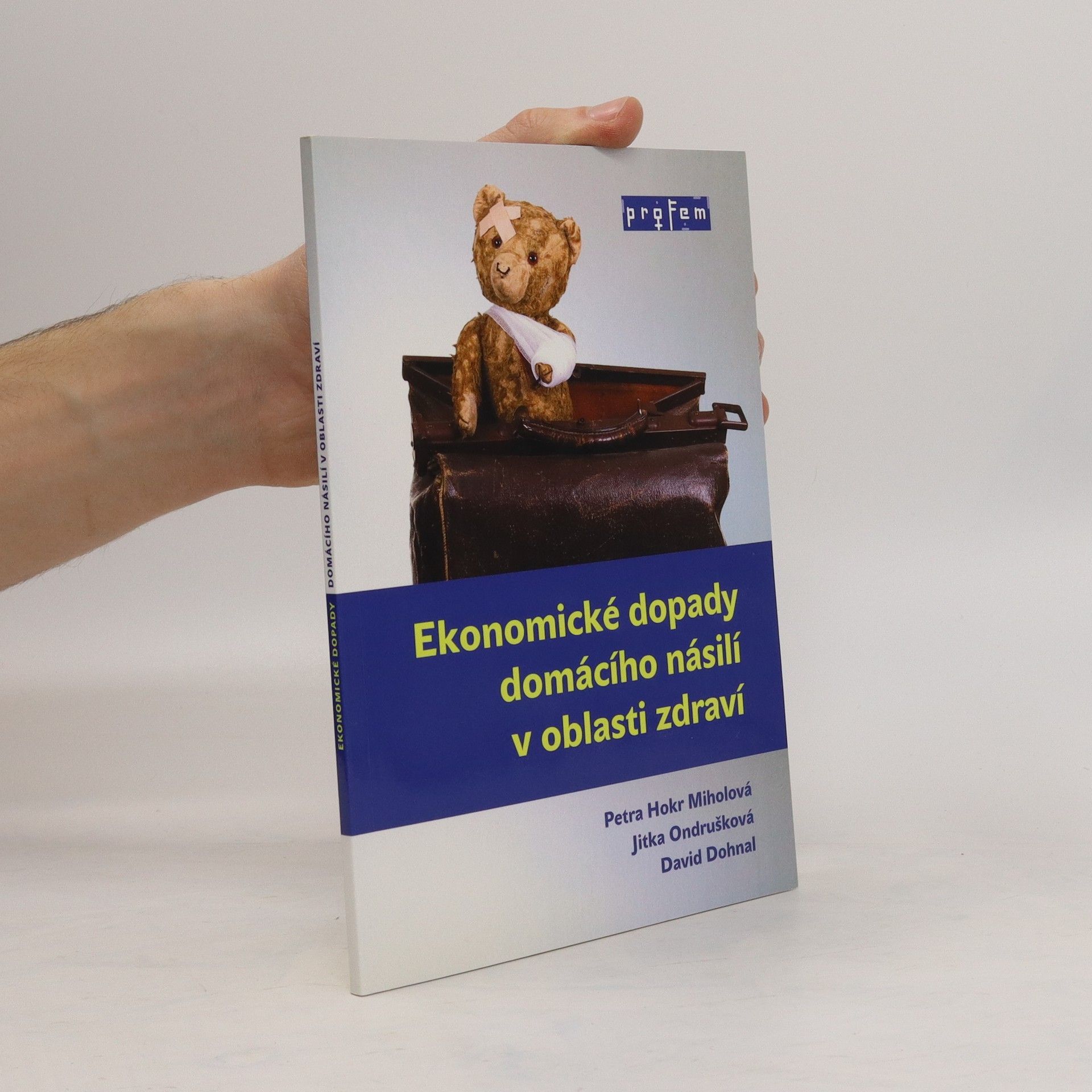 Autorenkollektiv Ekonomické dopady domácího násilí v oblasti zdraví