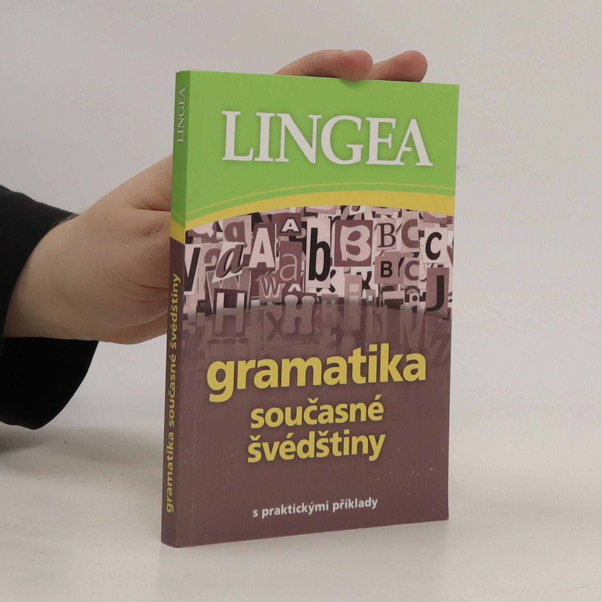 Autorenkollektiv Gramatika současné švédštiny