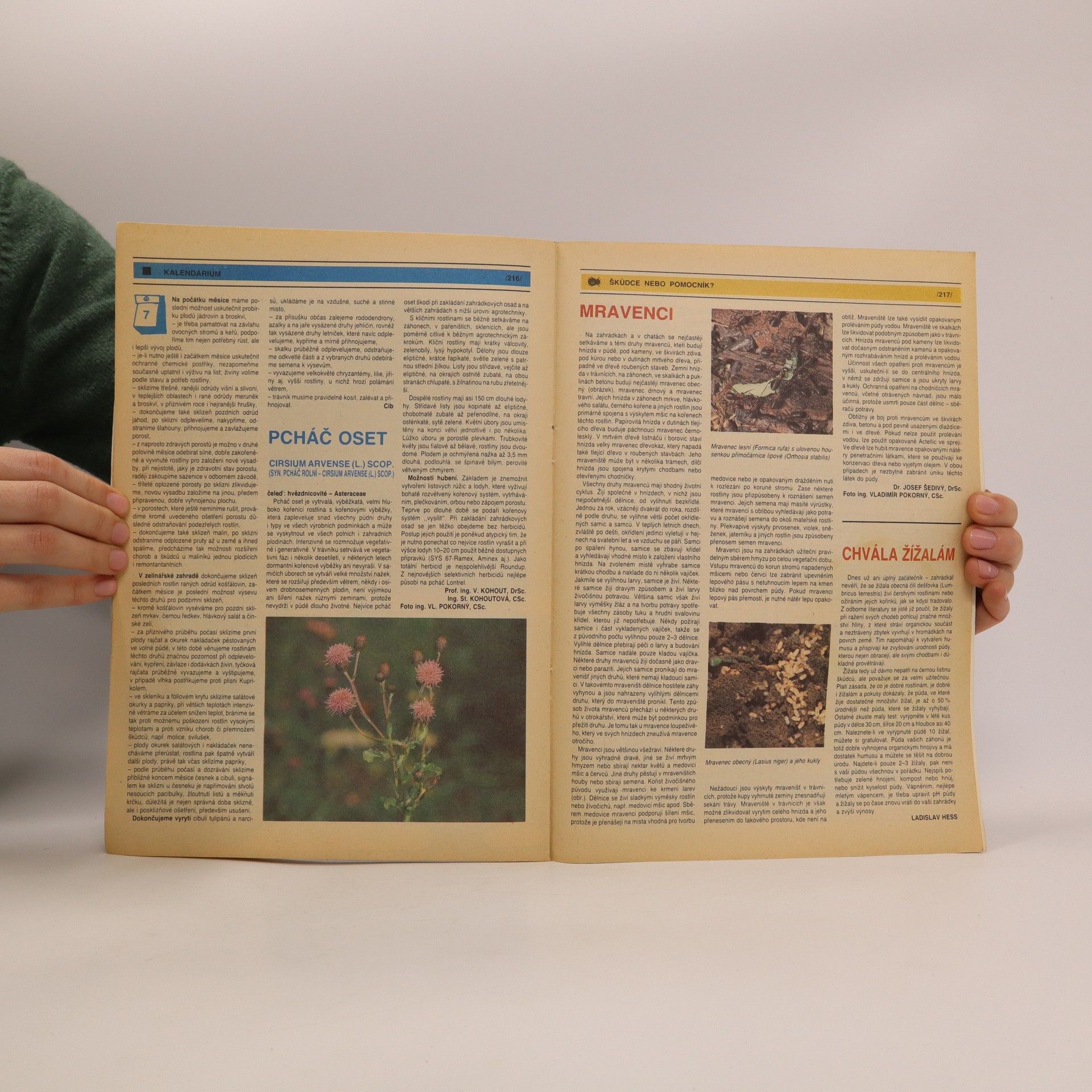 Collectif d'auteurs Zahrádkář 7/88
