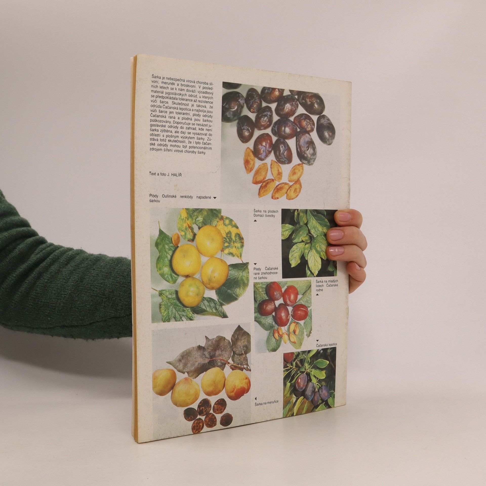 Collectif d'auteurs Zahrádkář 2/89