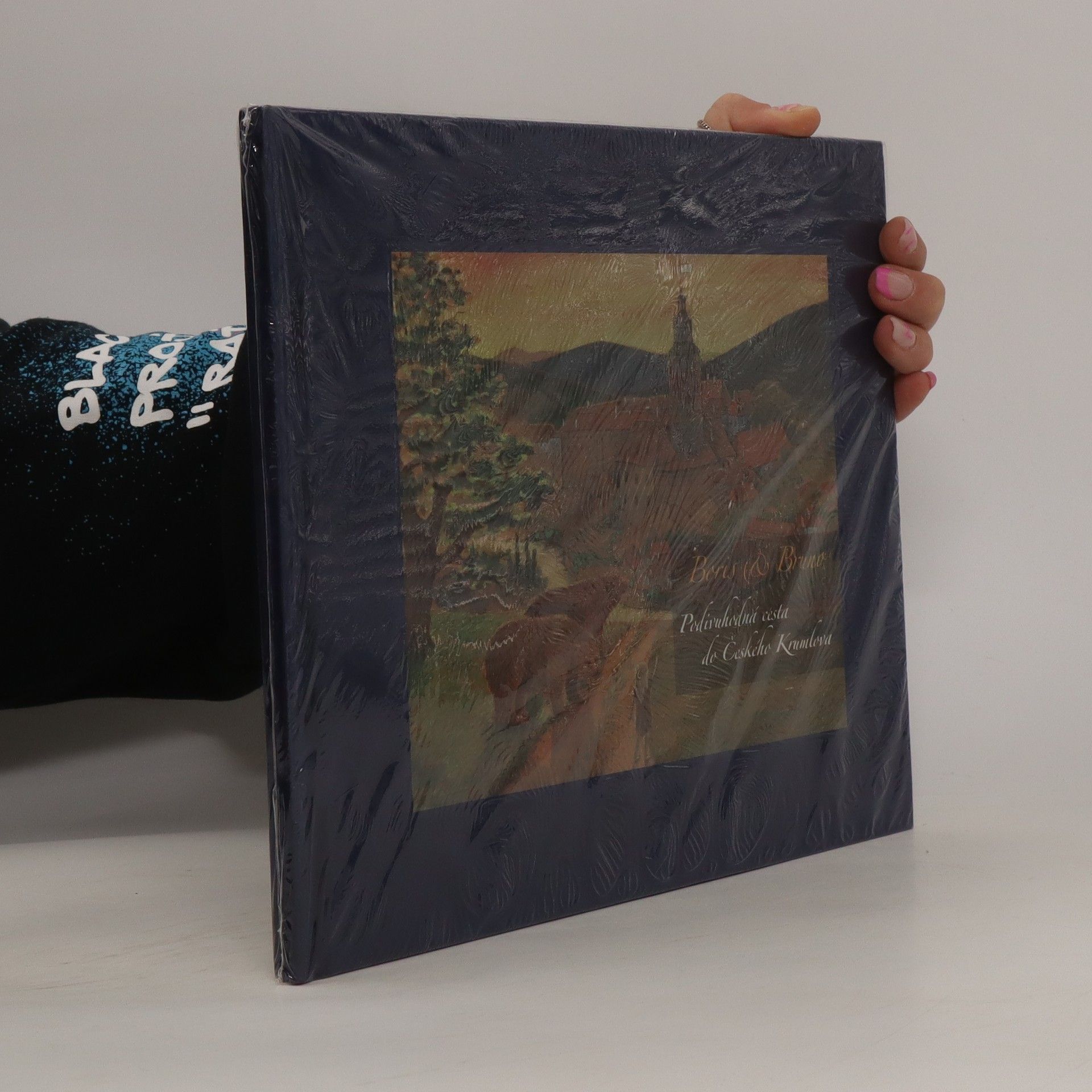 Wilma Schrover Boris & Bruno. Podivuhodná cesta do Českého Krumlova