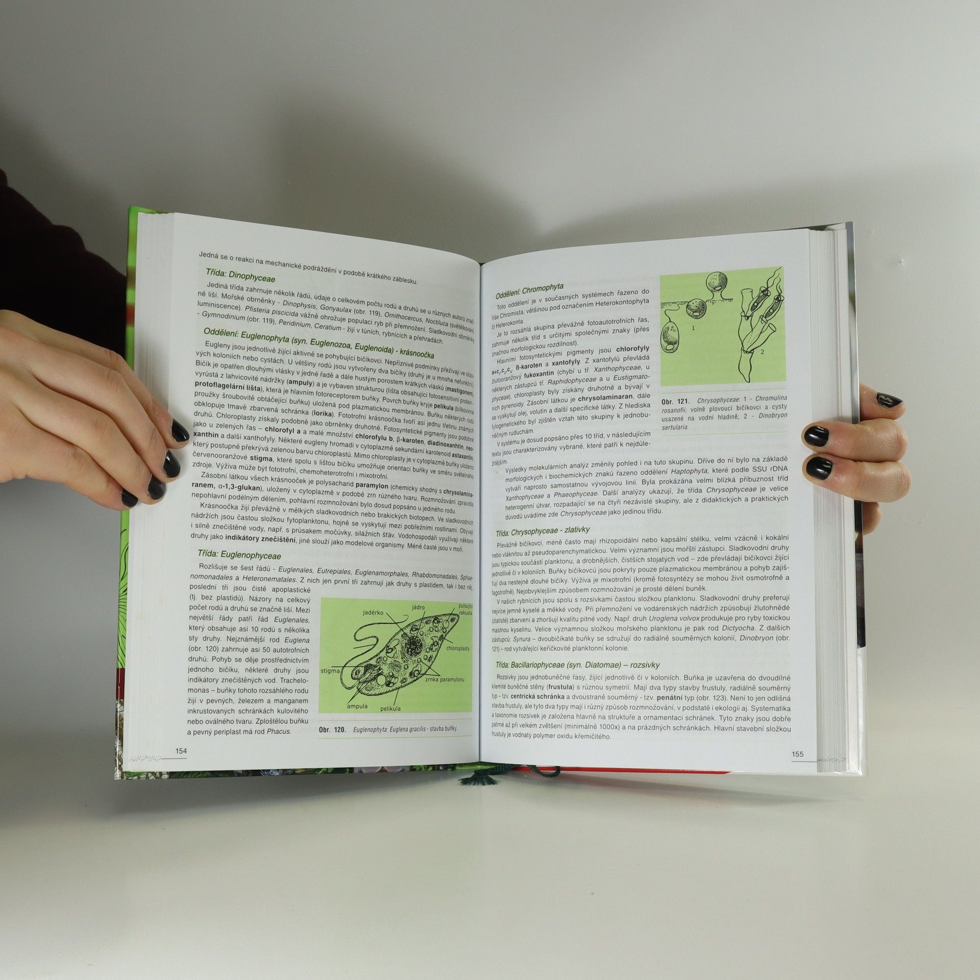 Adam Novák Botanika. Cytologie, histologie, organologie a systematika