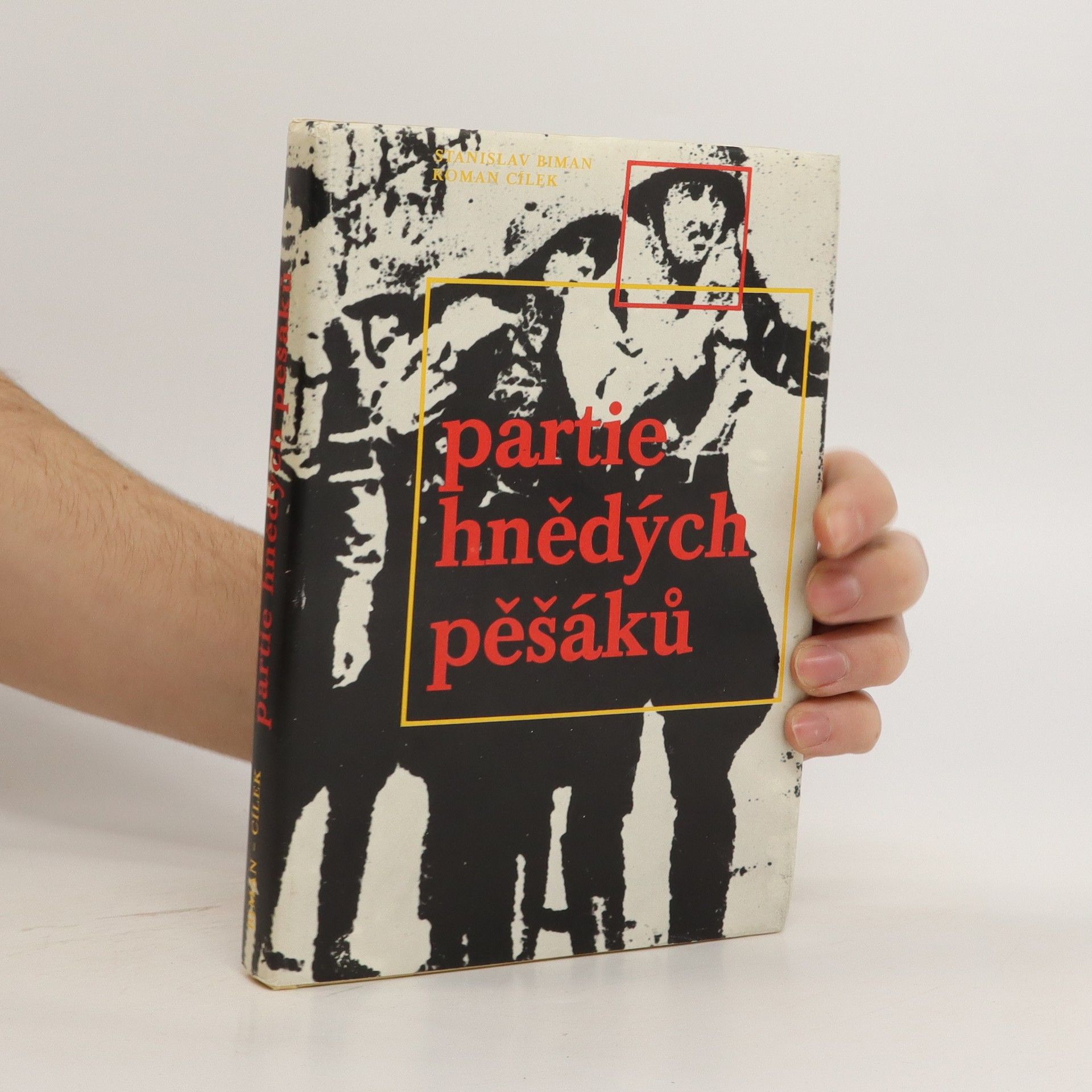 Roman Cílek Partie hnědých pěšáků