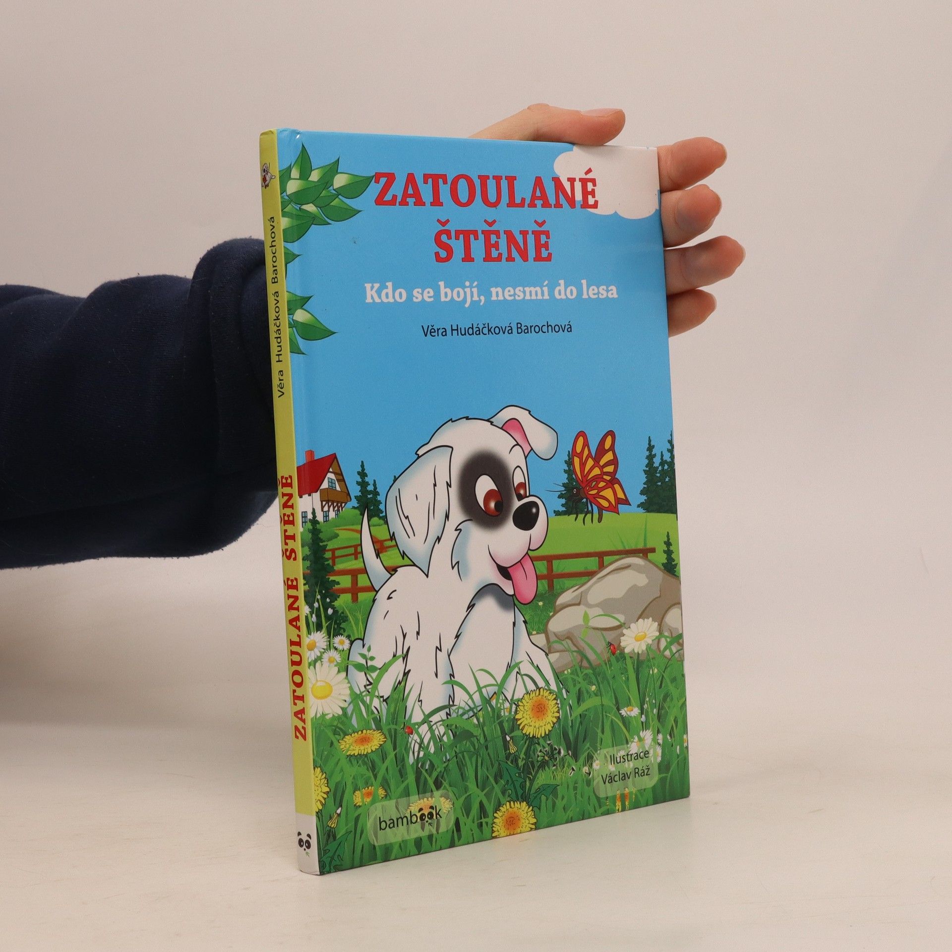 Věra Hudáčková Barochová Zatoulané štěně