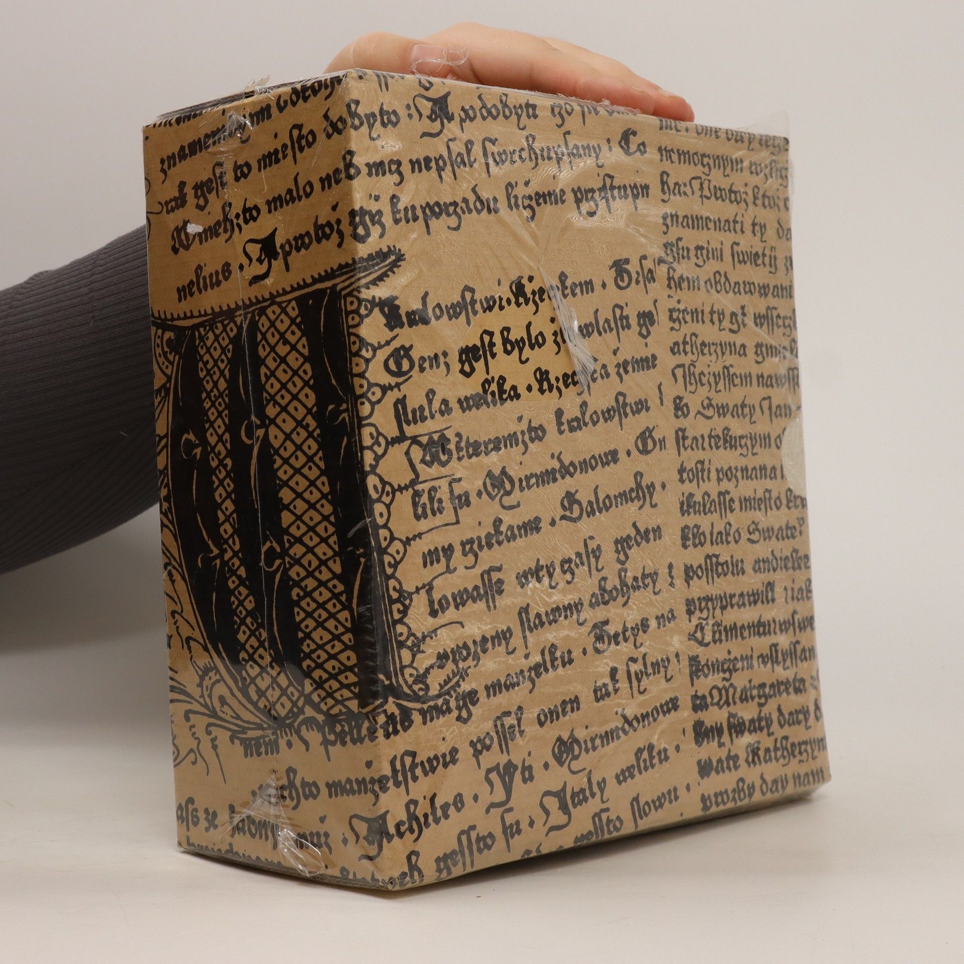 Autorenkollektiv Gotika v západních Čechách 1-3