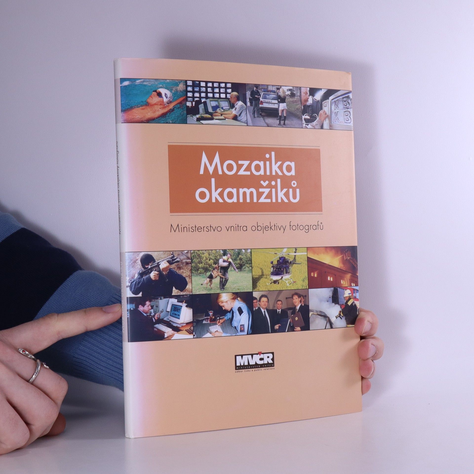 Kolektív autorov Mozaika okamžiků