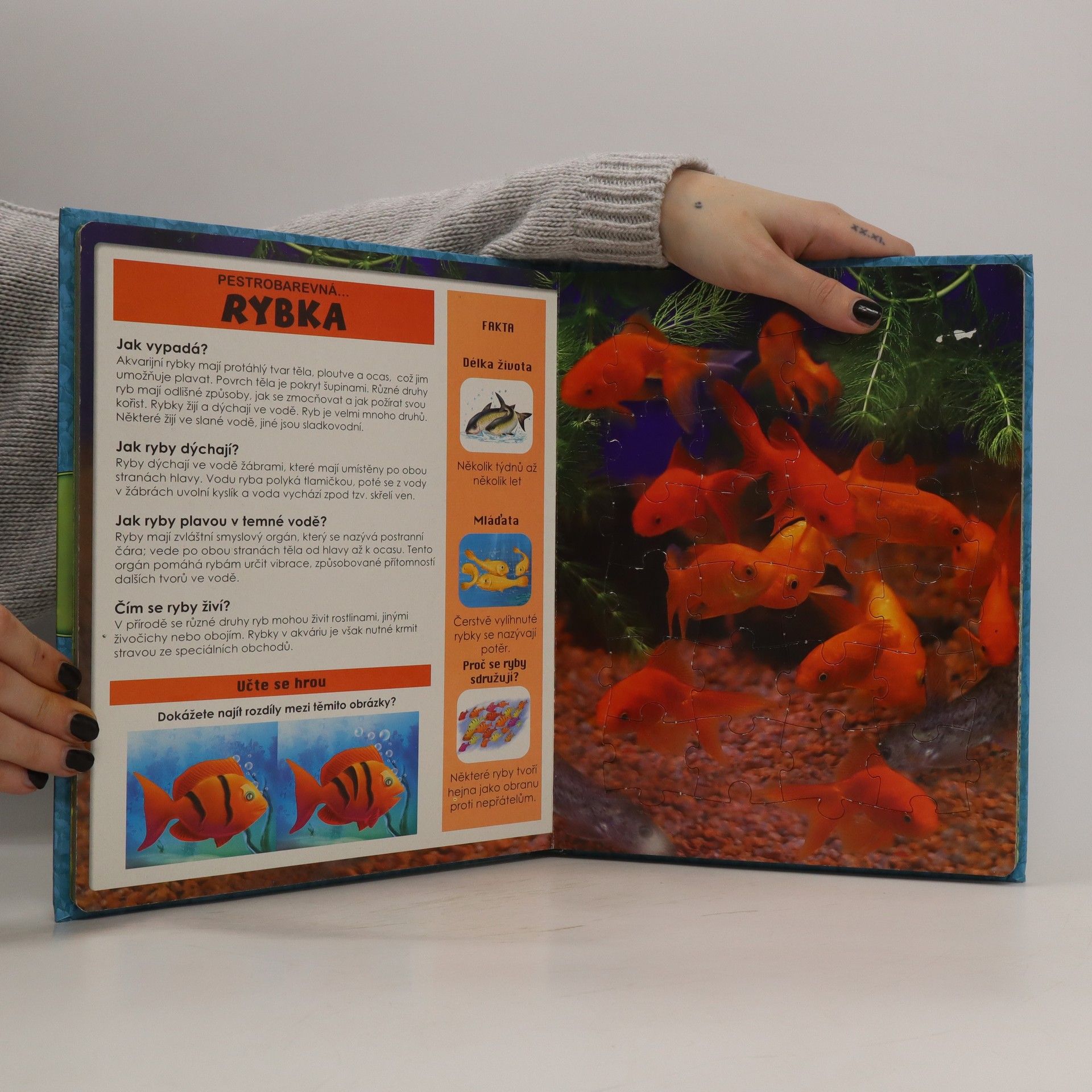 Autorenkollektiv Domácí zvířata : knížka s puzzle