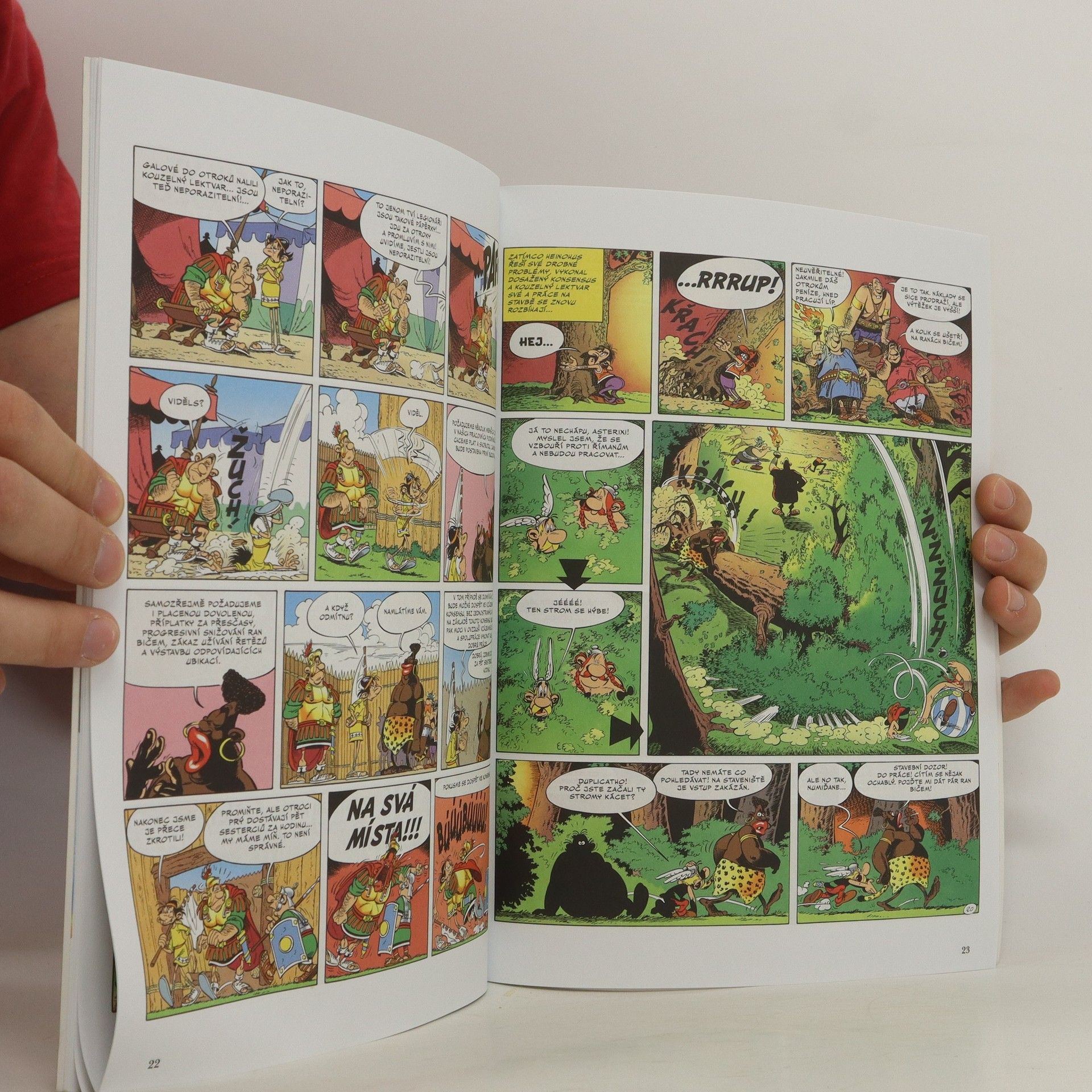 René Goscinny Asterix a sídliště bohů