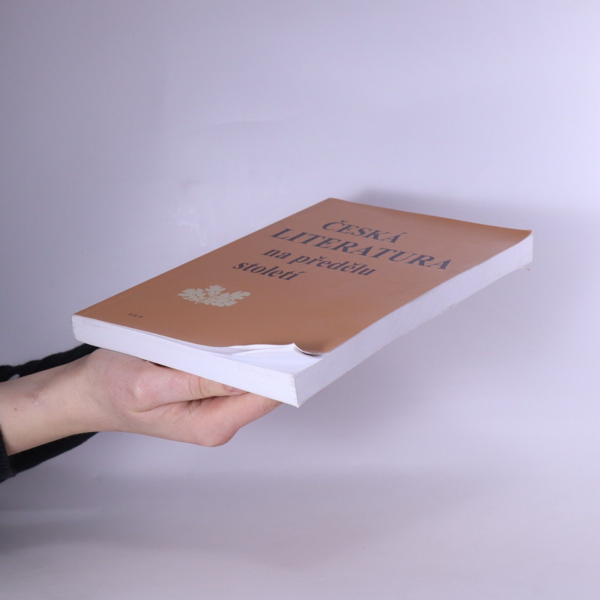 Jaroslava Janáčková Česká literatura na předělu století