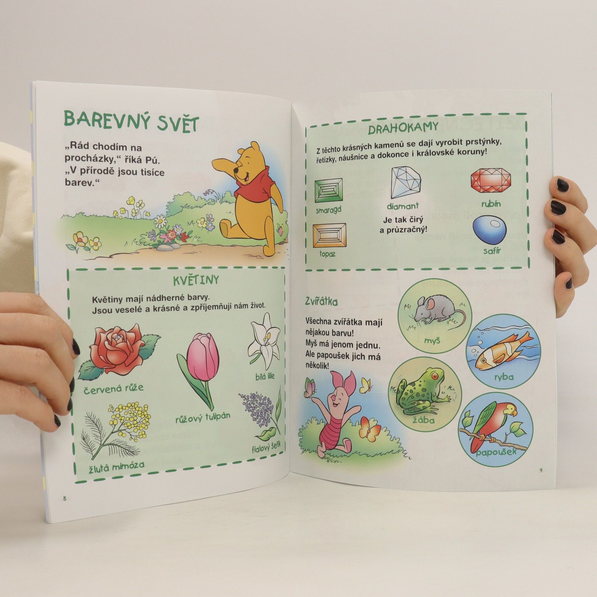 Autorenkollektiv Objevujeme barvy. Medvídek Pú