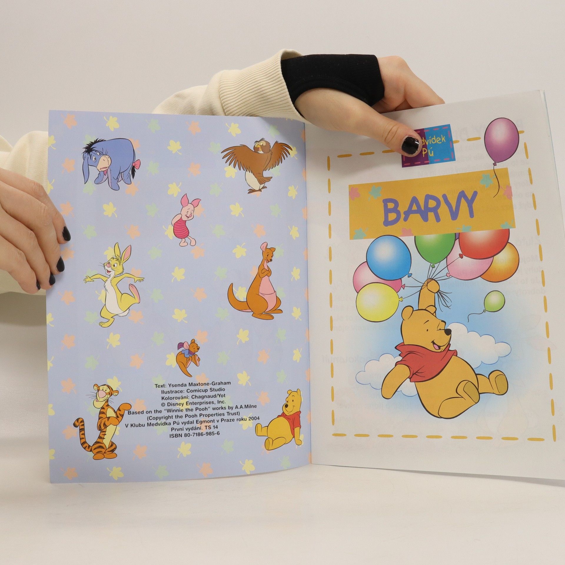 Autorenkollektiv Objevujeme barvy. Medvídek Pú