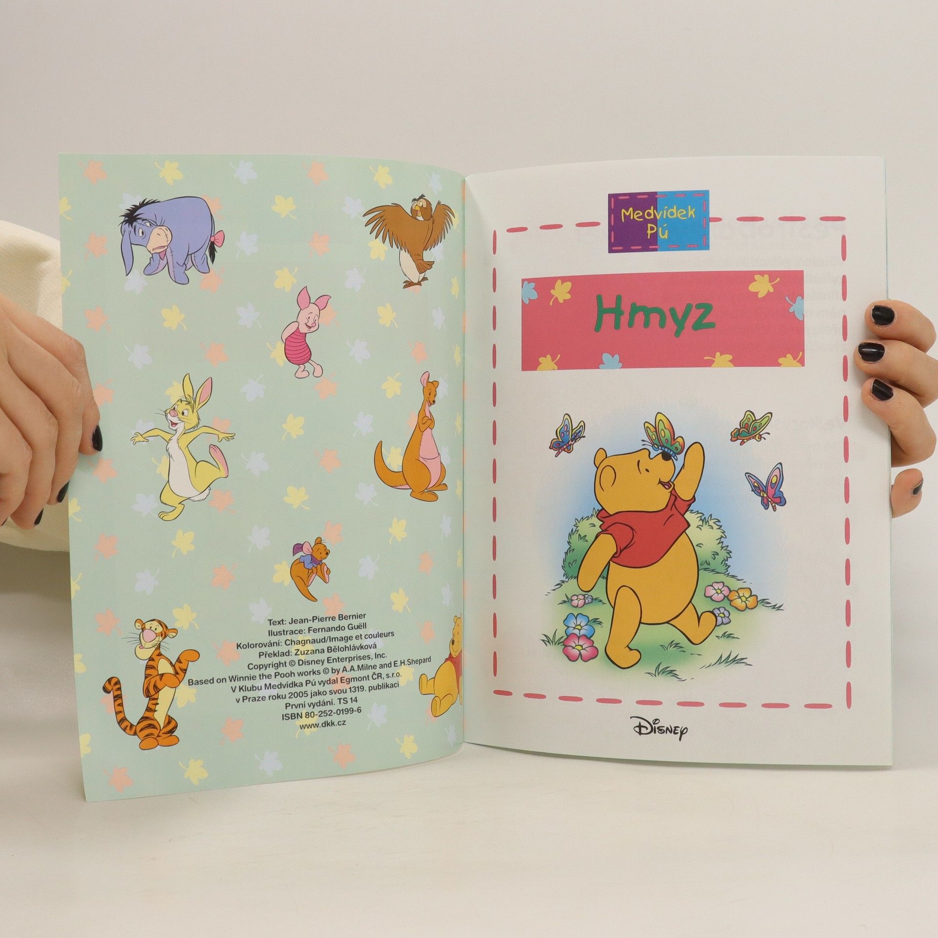 Autorenkollektiv Medvídek Pú: Hmyz