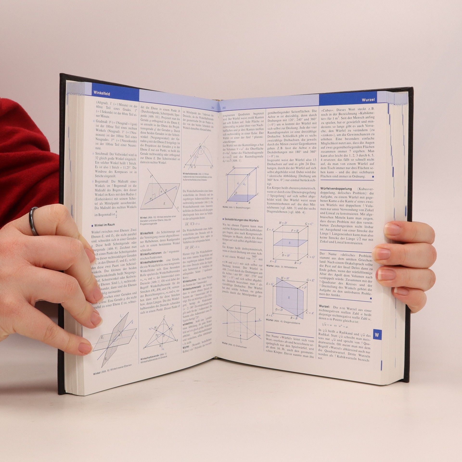 Simone Senk Brockhaus Themenwissen: Mathematik I, Mathematik II, Informatik A-K