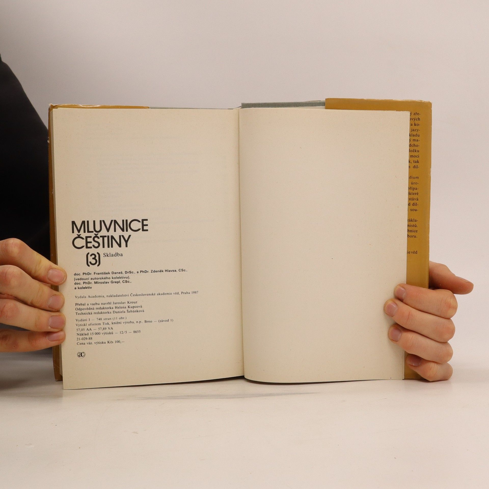 Autorenkollektiv Mluvnice češtiny Díl 3. Skladba