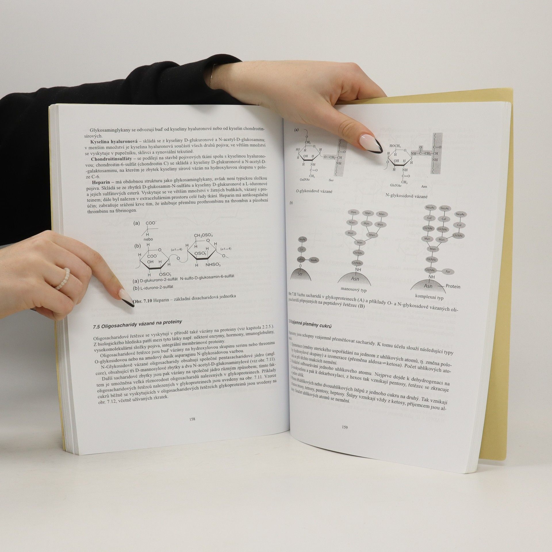 Danuše Sofrová Biochemie - Základní kurz