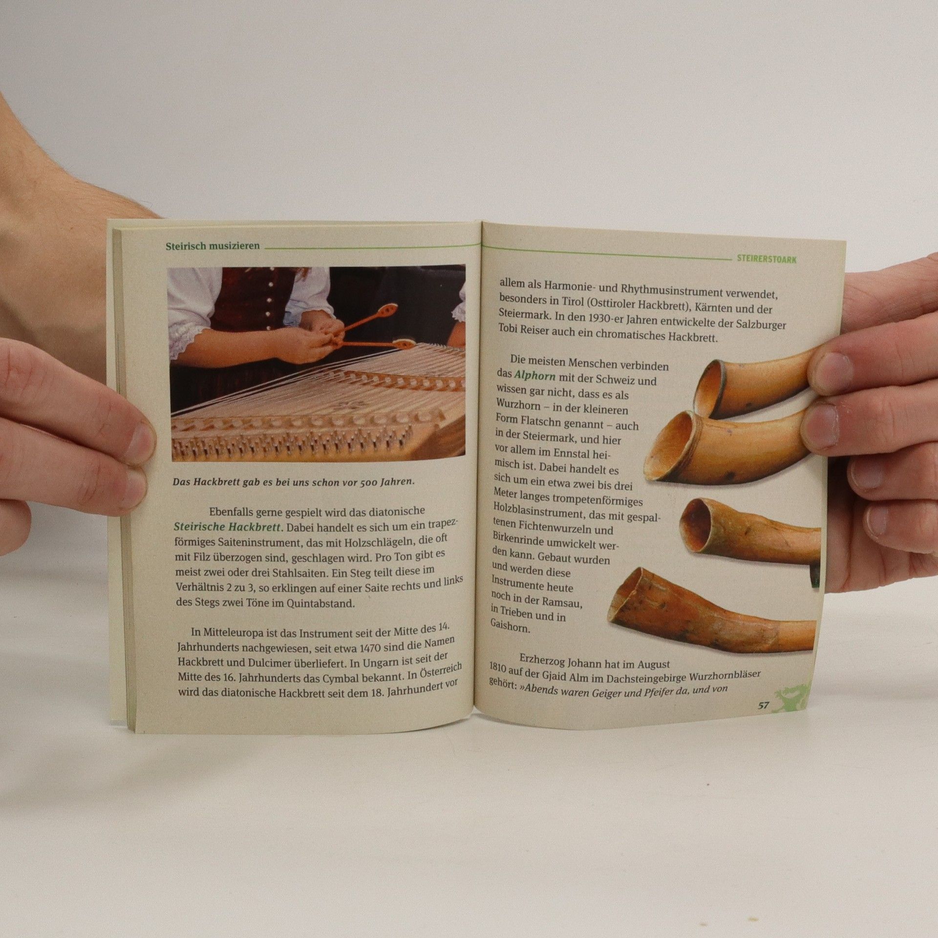 Autorenkollektiv Steirerstoark. Das Buch.