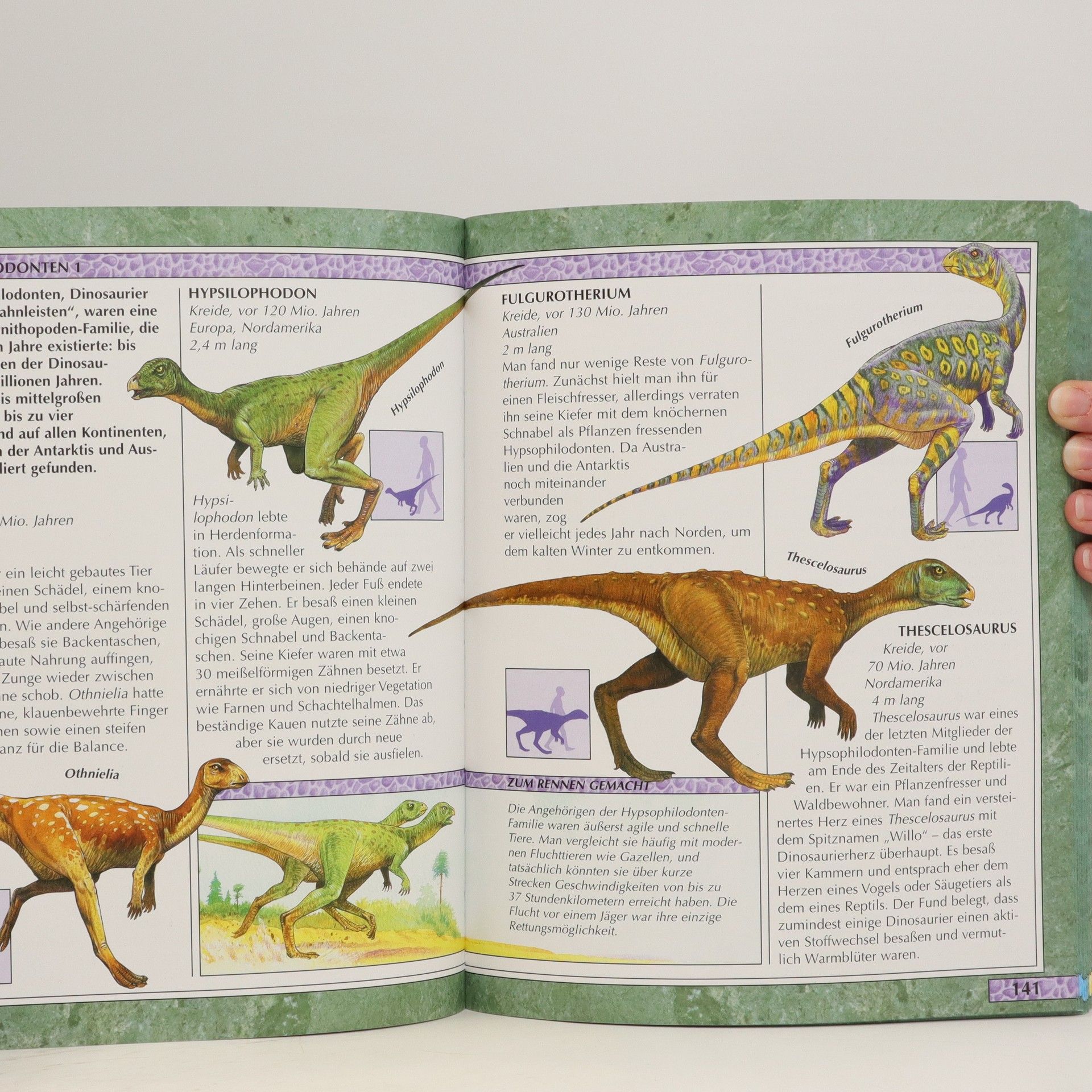 John Malam Das Reich der Dinosaurier