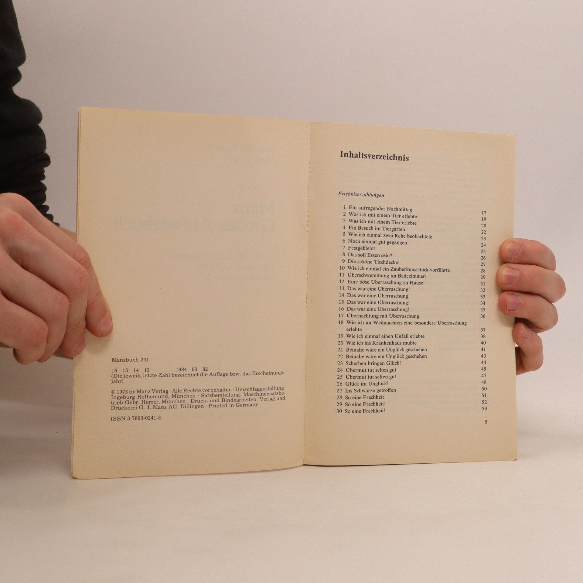 Manz grosses Aufsatzbuch