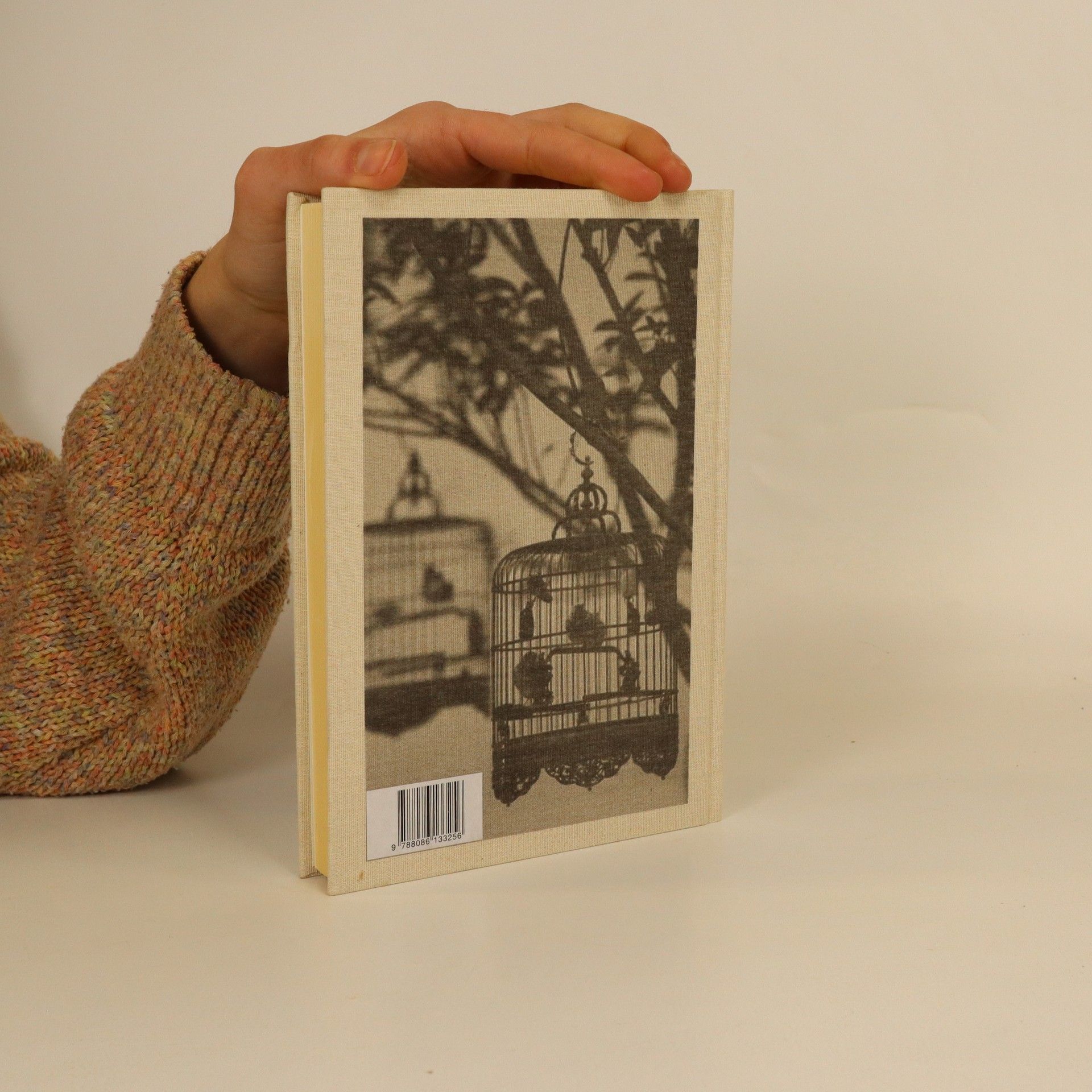 Erle Stanley Gardner Případ kulhavého kanárka