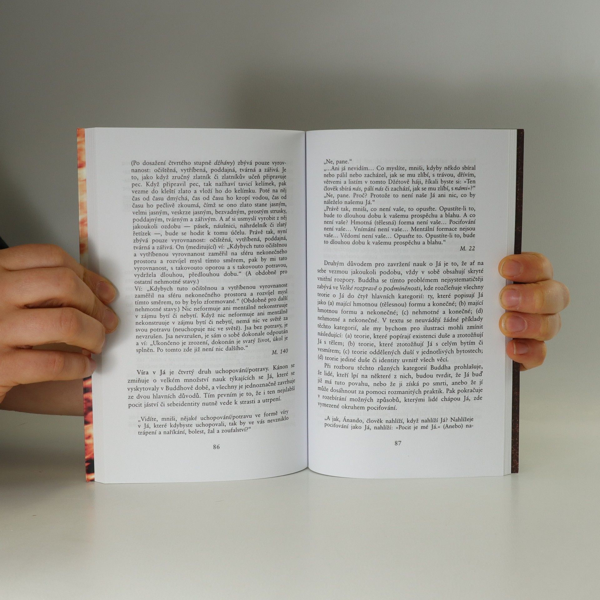 Thánissaró Bhikkhu Mysl odpoutaná jako oheň: Symbolika raných buddhistických textů