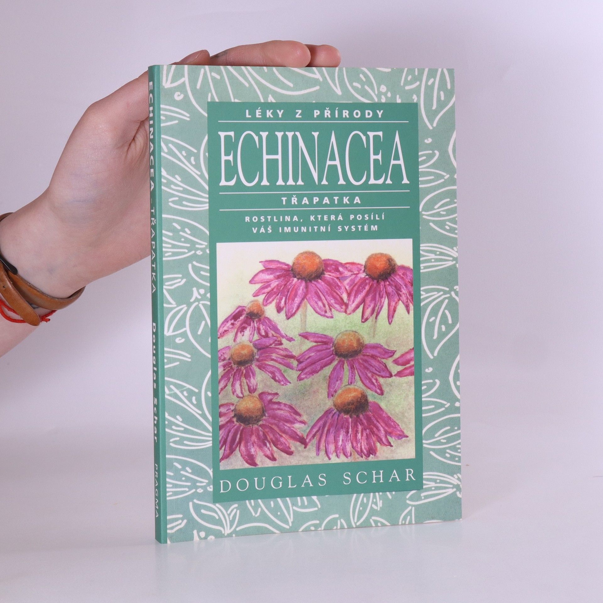 Douglas Schar Echinacea - třapatka. Rostlina, která posílí váš imunitní systém