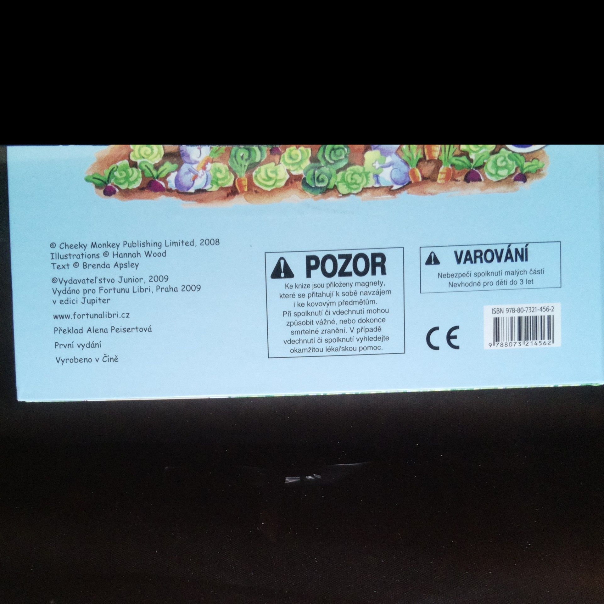 Hannah Wood Kolik je hodin? : Lumpíkův rušný den (21 magnetek)