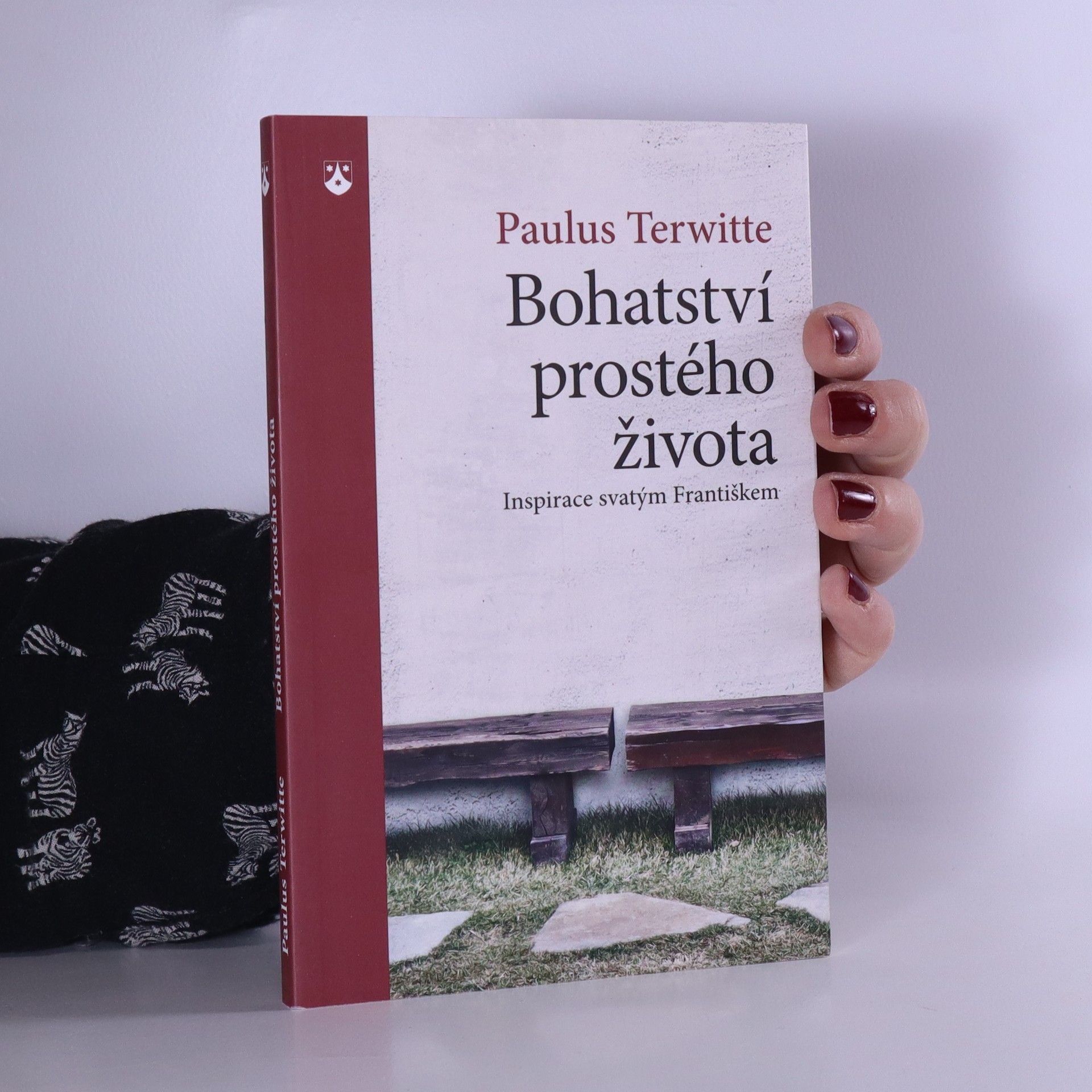 Paulus Terwitte Bohatství prostého života: Inspirace svatým Františkem