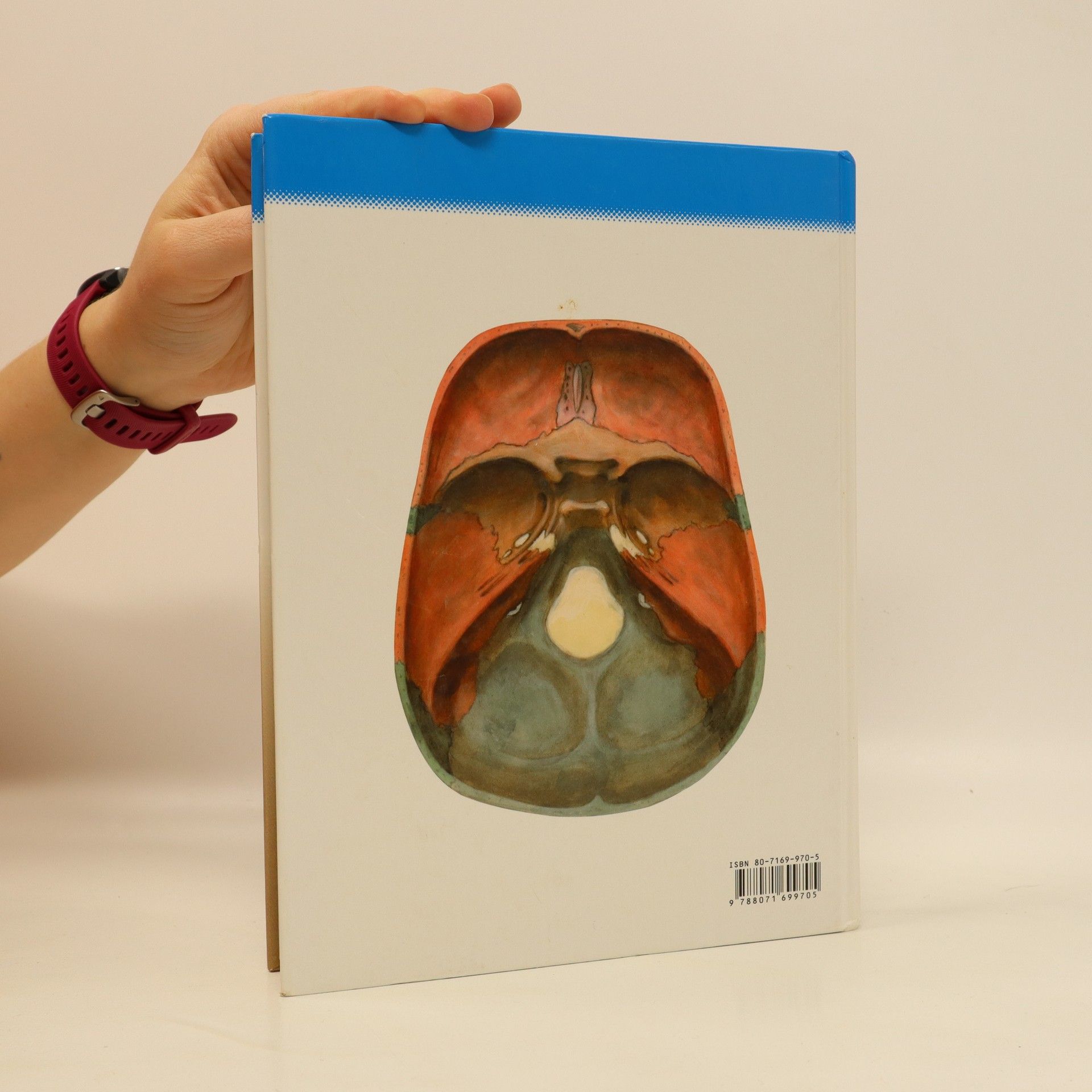 Radomír Čihák Anatomie 1