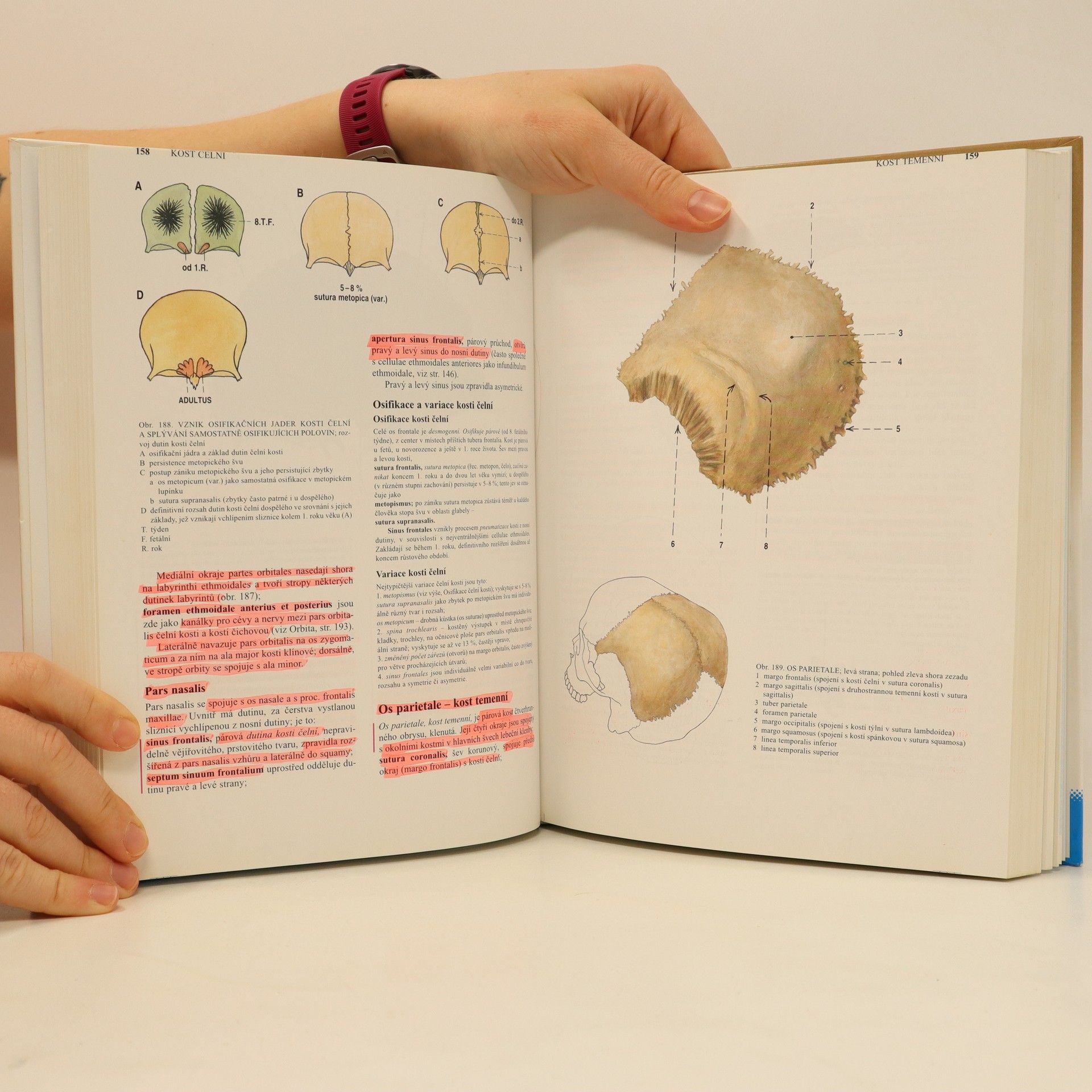 Radomír Čihák Anatomie 1