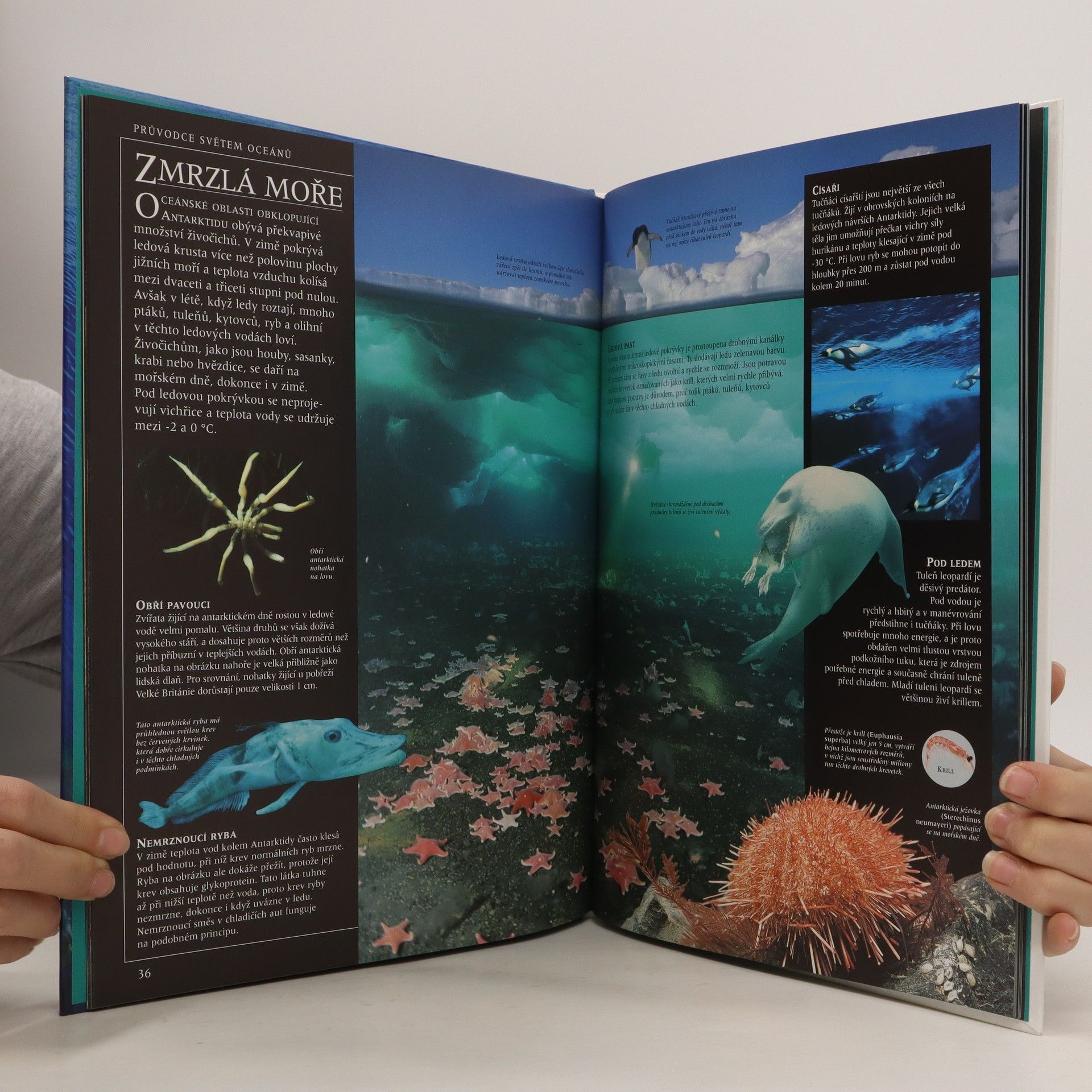 Frances Dipper Průvodce světem oceánů