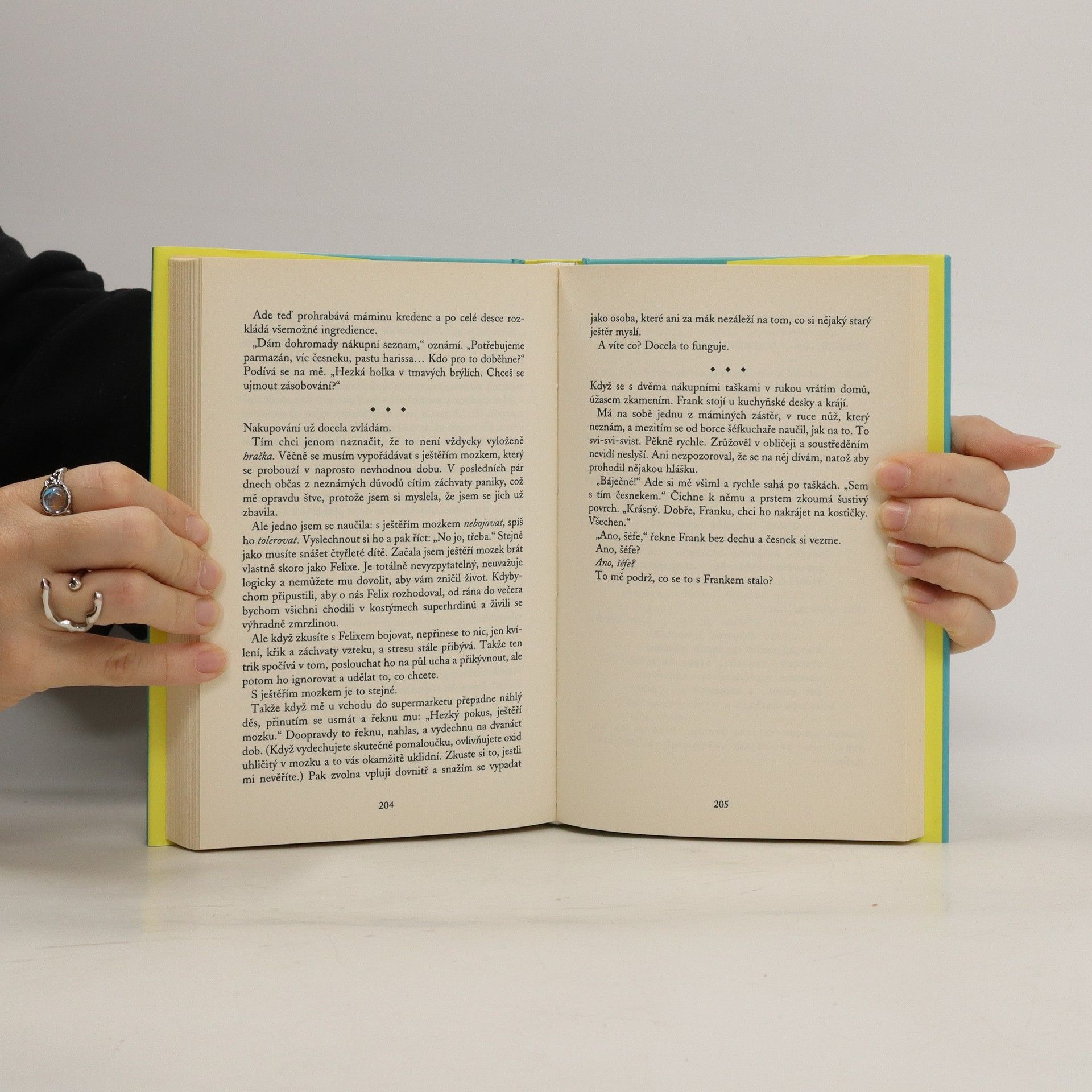 Sophie Kinsella Audrey se vrací
