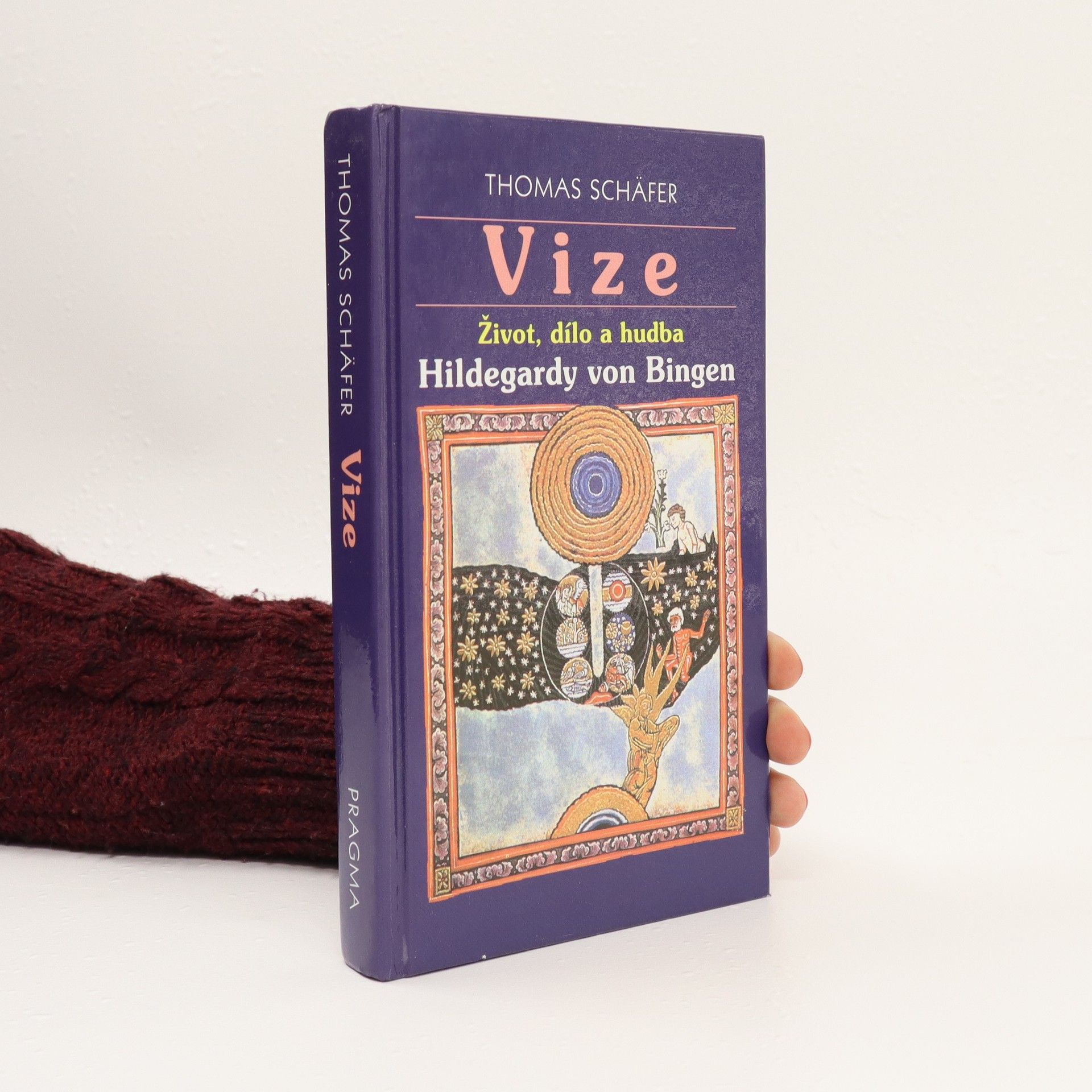 Thomas Schäfer Vize : život, dílo a hudba Hildegardy von Bingen