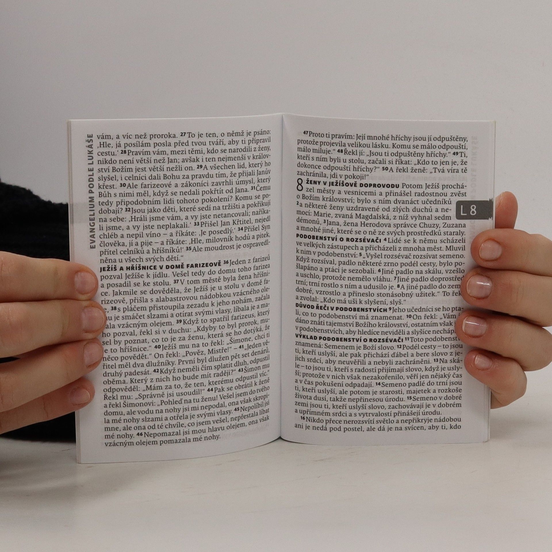 Collectif d'auteurs Evangelium podle Lukáše