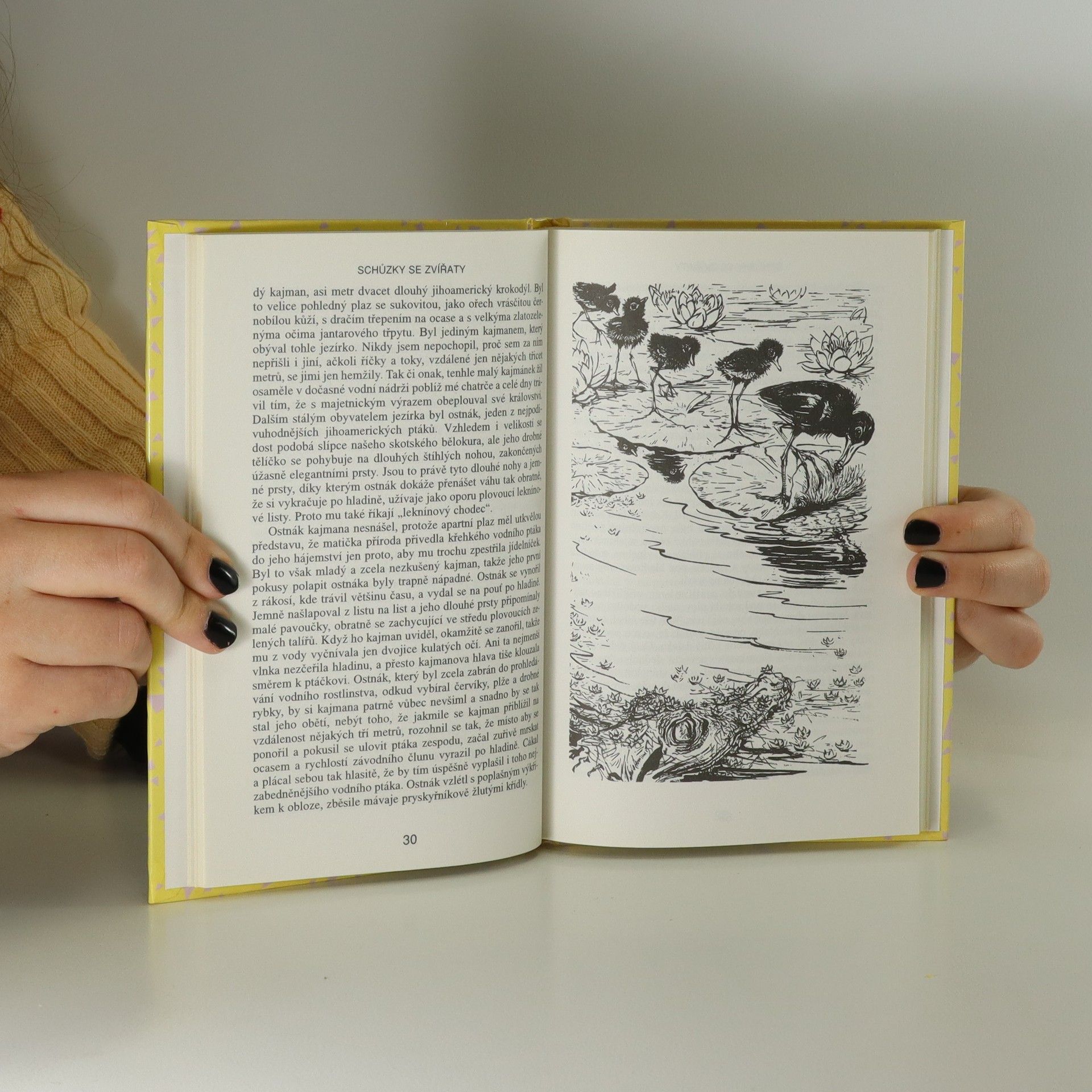Gerald Durrell Schůzky se zvířaty