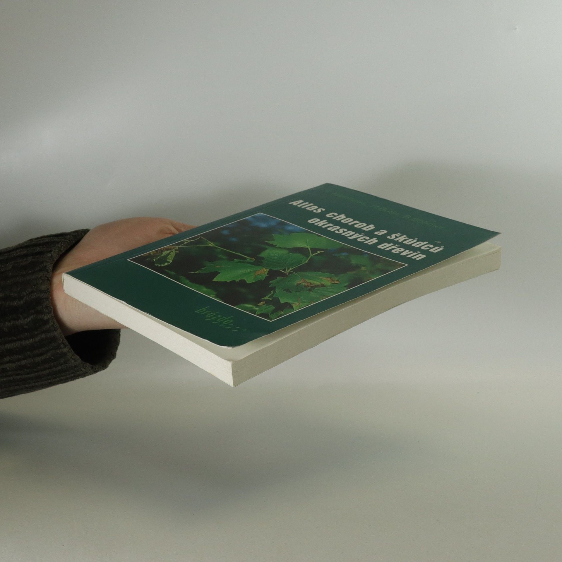 Franz Nienhaus Atlas chorob a škůdců okrasných dřevin